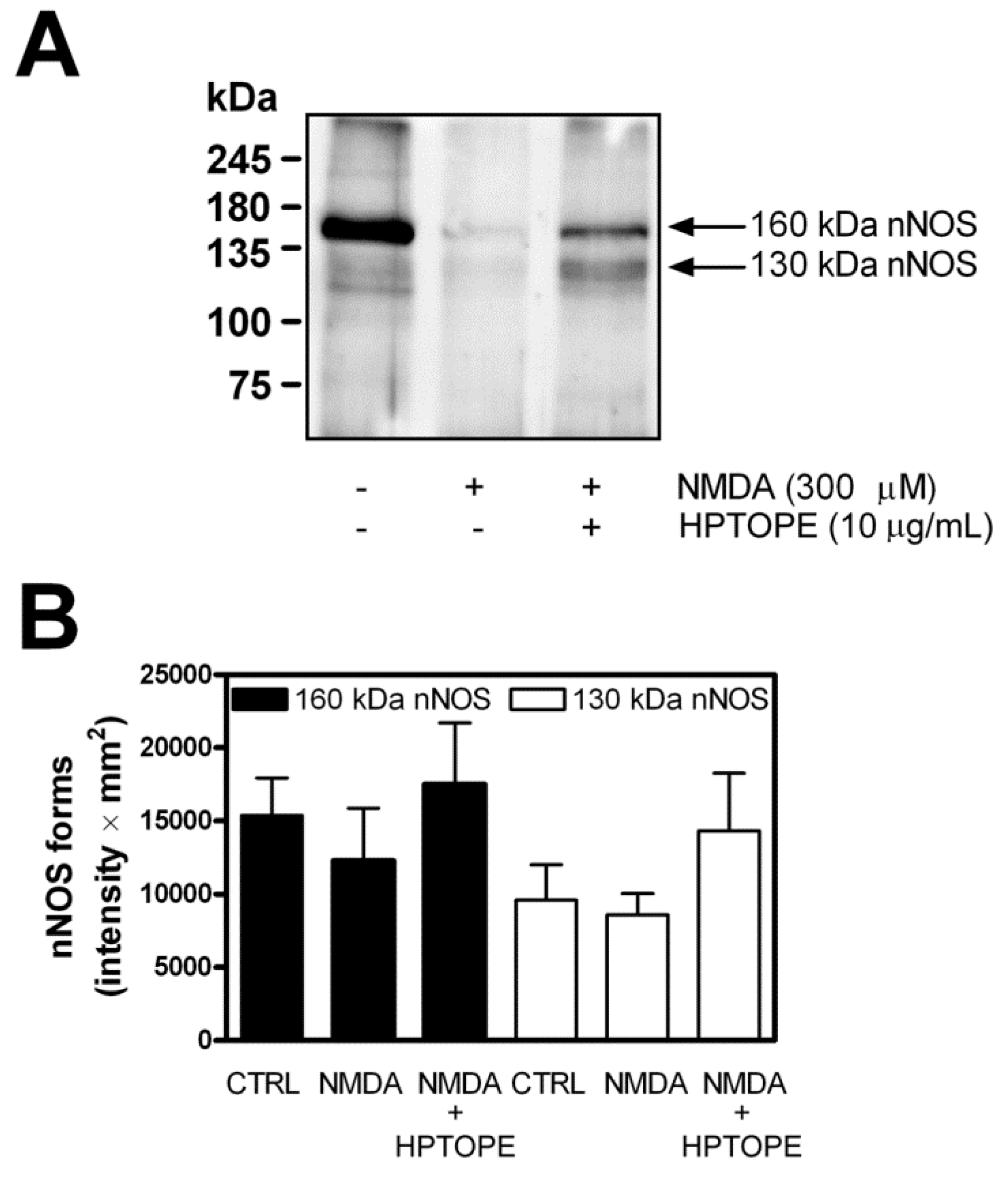 Molecules 25 04385 g006