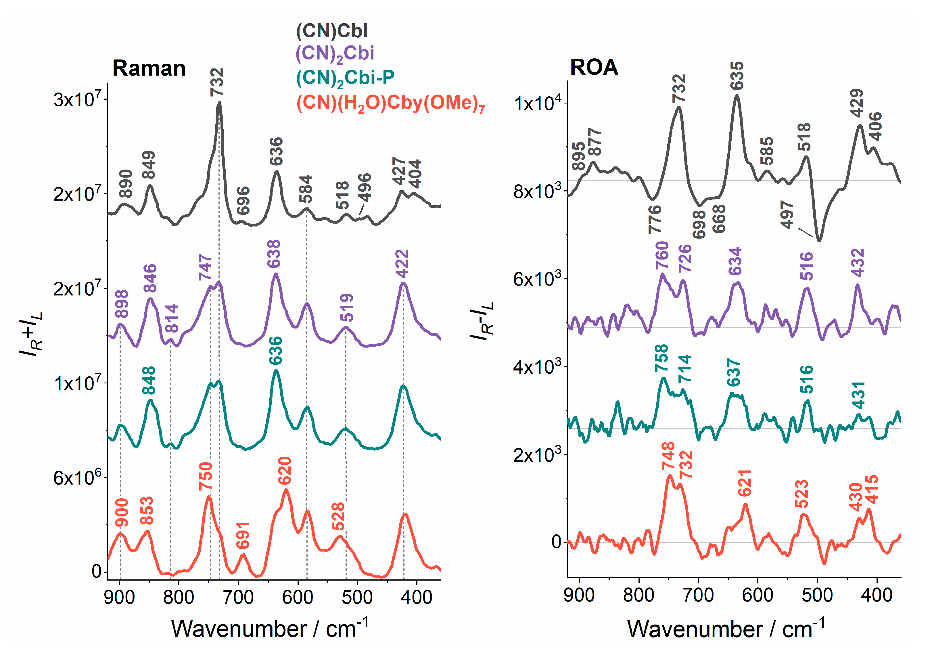 Molecules 25 04386 g004