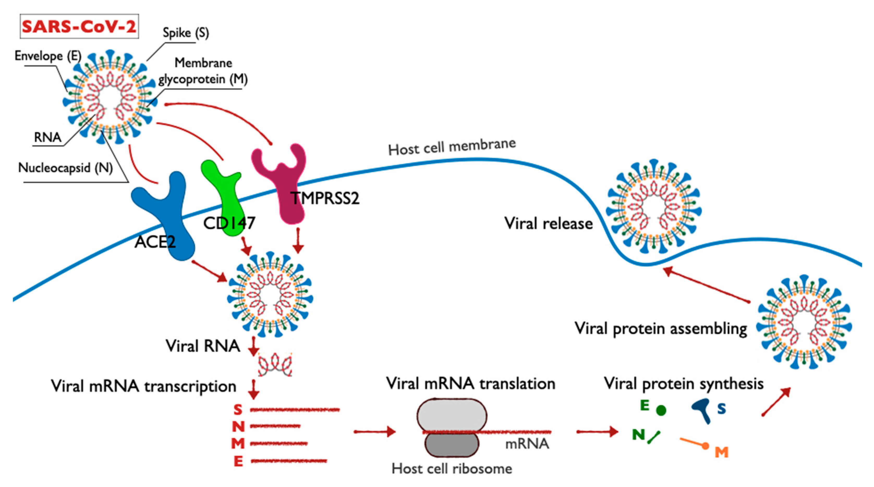Molecules 25 04389 g001 Molecules 25 04389 g001