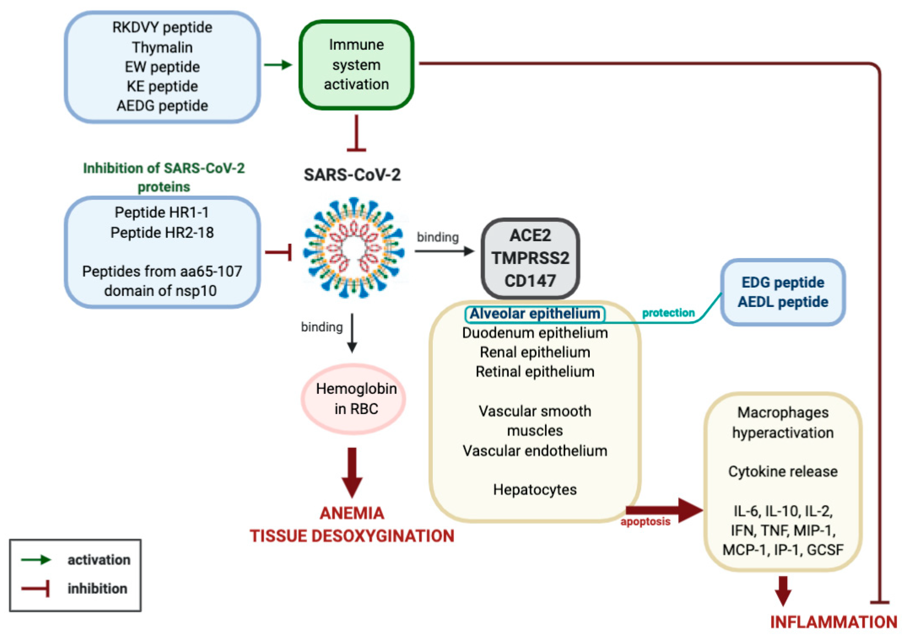 Molecules 25 04389 g002 Molecules 25 04389 g002