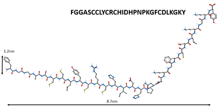 Molecules 25 04389 i002 Molecules 25 04389 i002