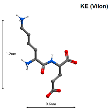 Molecules 25 04389 i007 Molecules 25 04389 i007