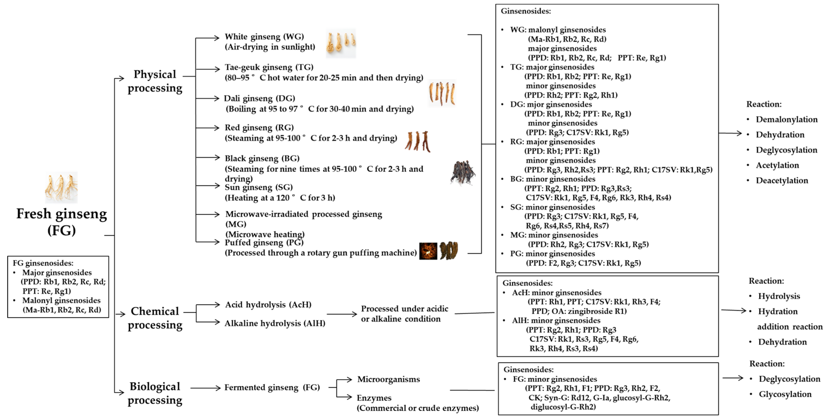 Molecules 25 04390 g002