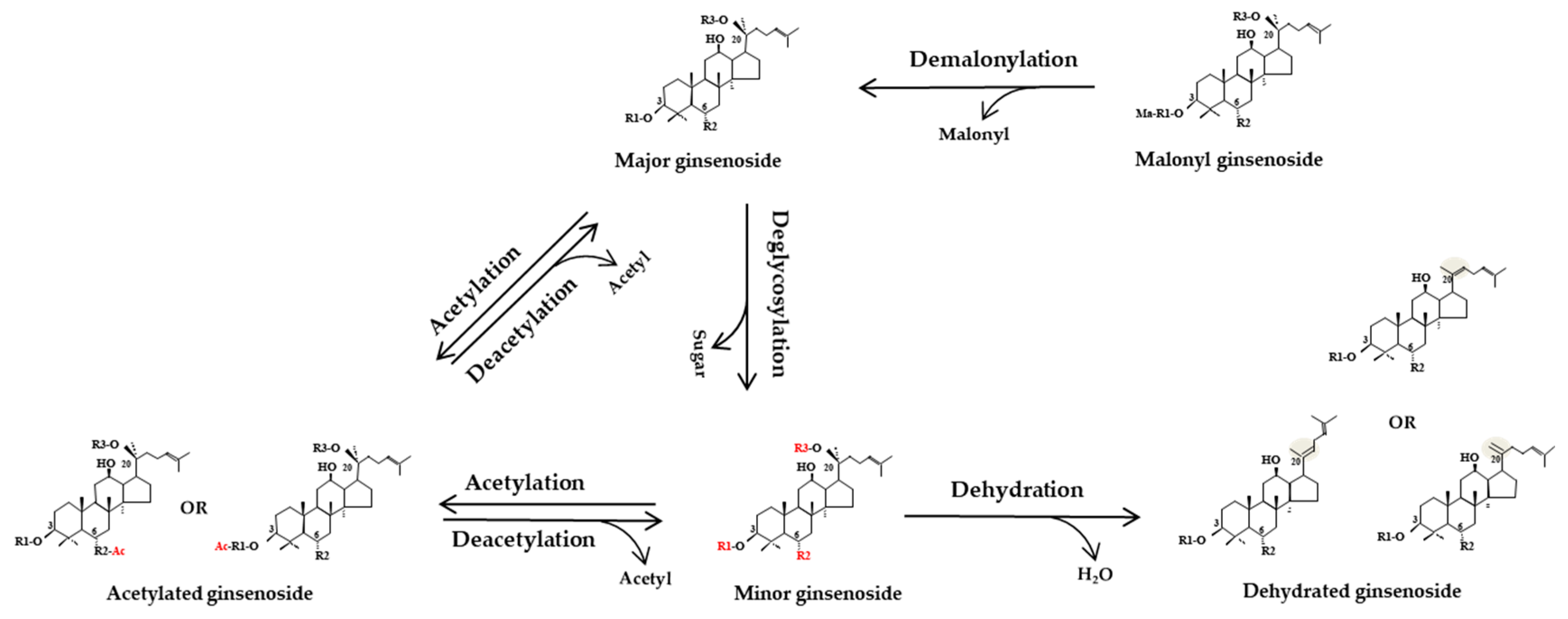 Molecules 25 04390 g003