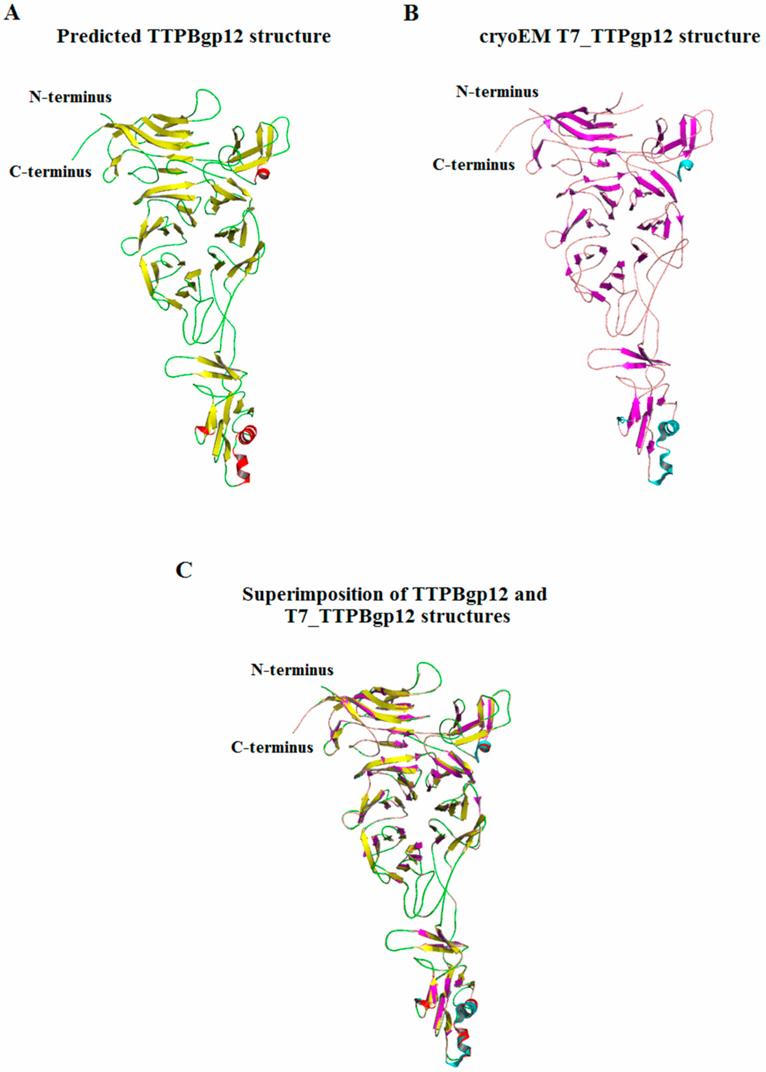 Molecules 25 04392 g001