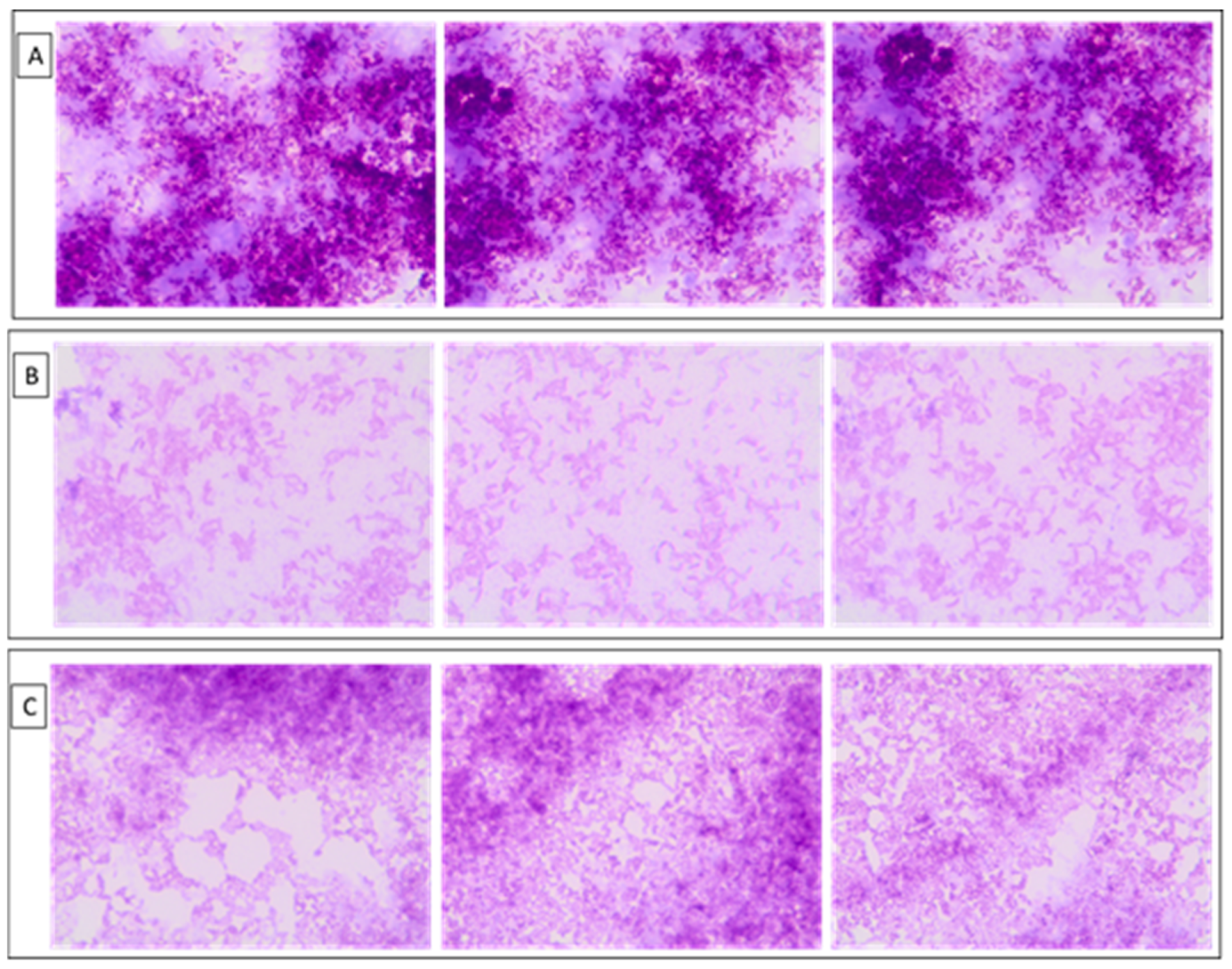 Molecules 25 04392 g012