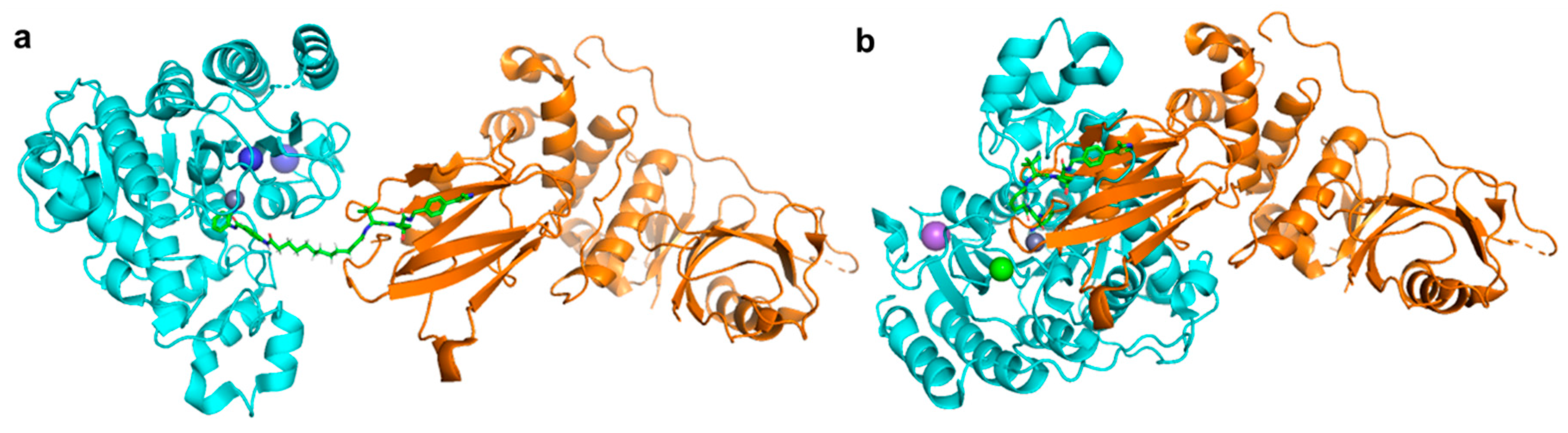 Molecules 25 04394 g011 Molecules 25 04394 g011