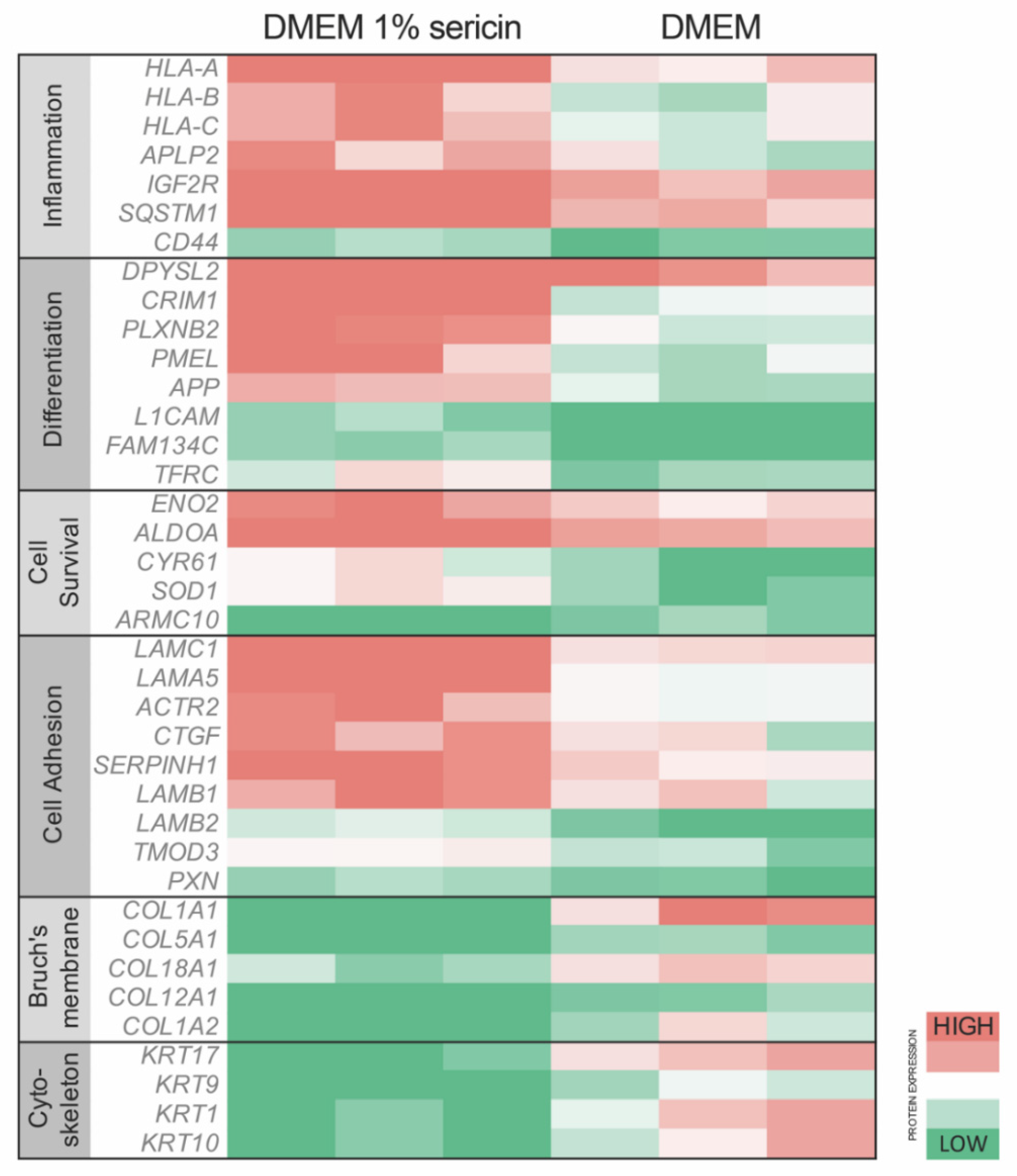 Molecules 25 04395 g002 Molecules 25 04395 g002