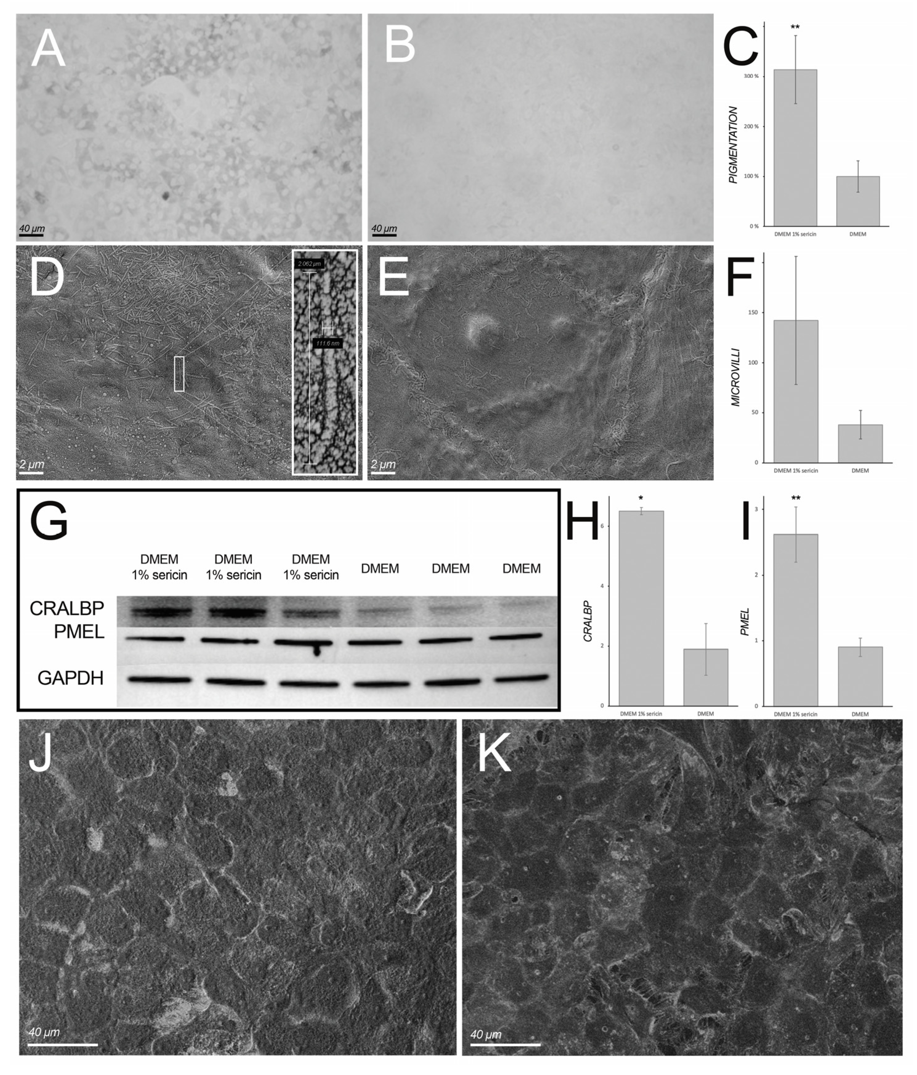 Molecules 25 04395 g006 Molecules 25 04395 g006