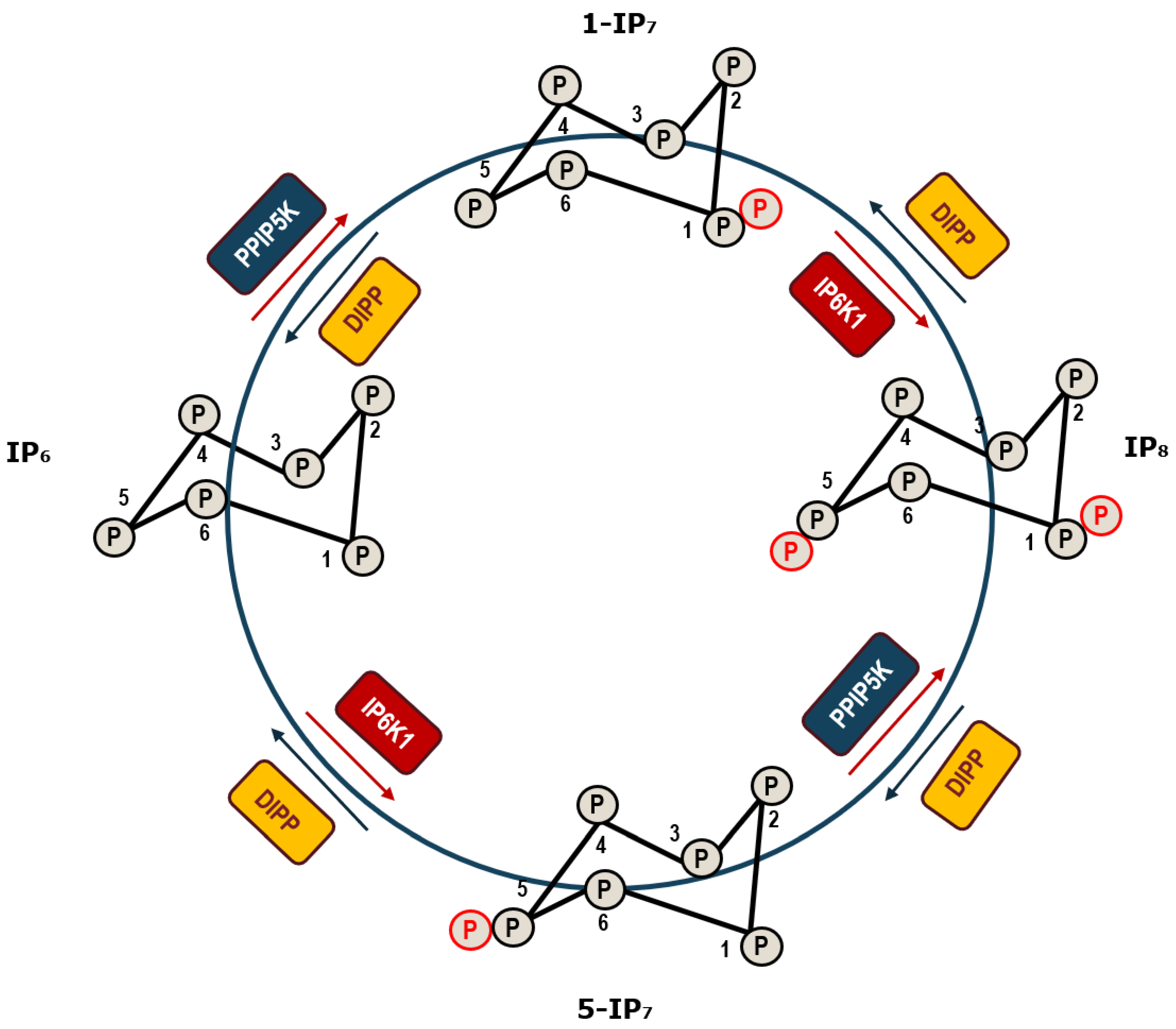 Molecules 25 04401 g001 Molecules 25 04401 g001