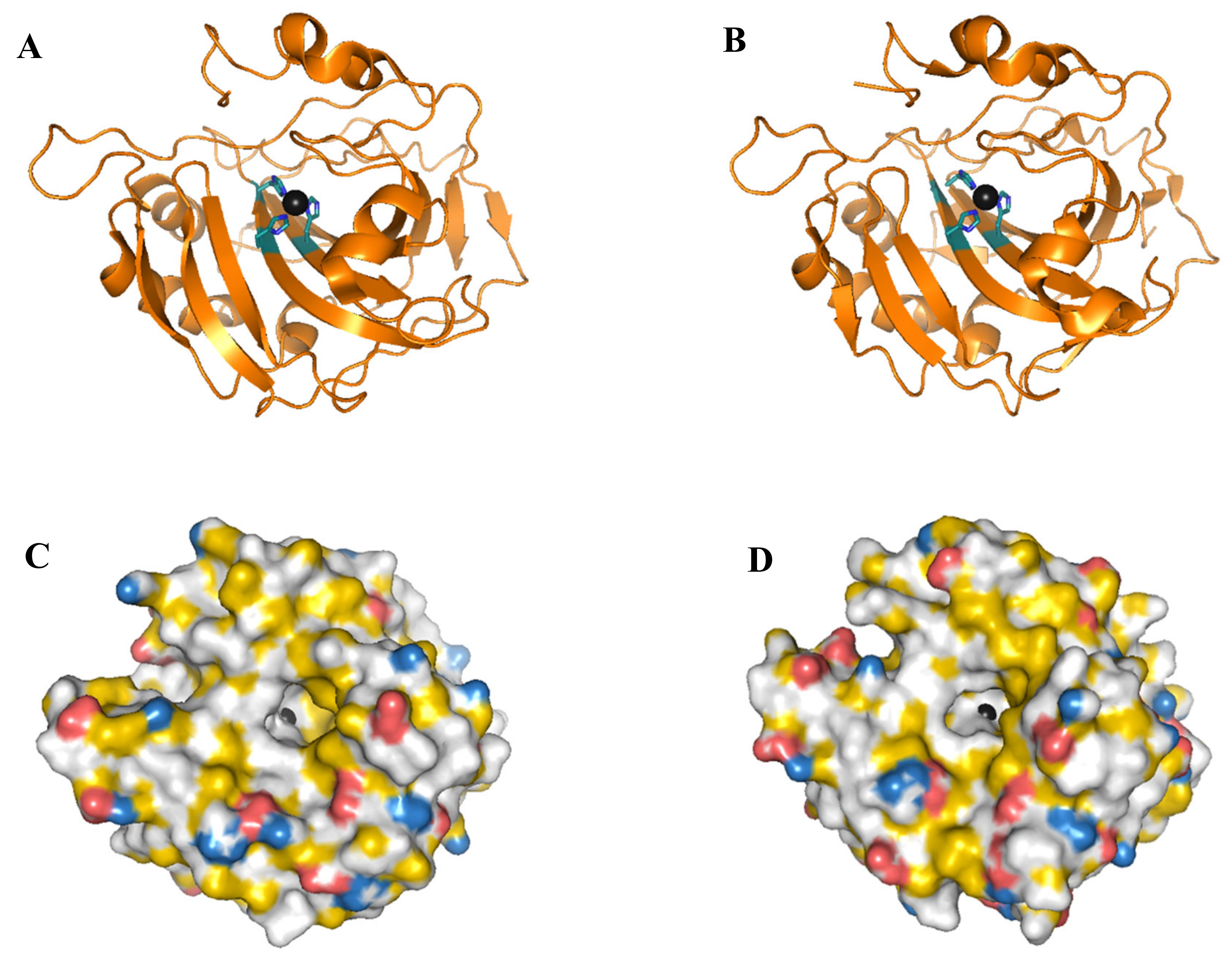 Molecules 25 04405 g001 Molecules 25 04405 g001