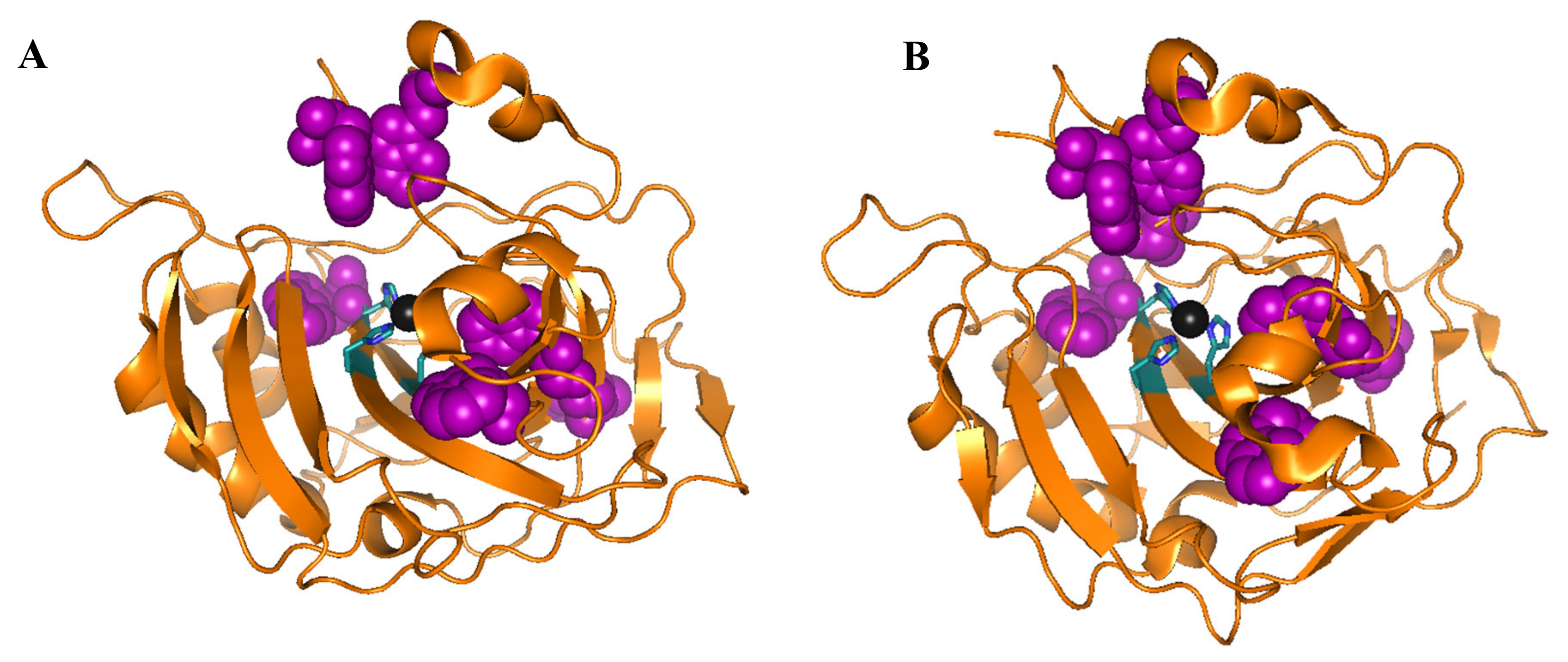 Molecules 25 04405 g002 Molecules 25 04405 g002