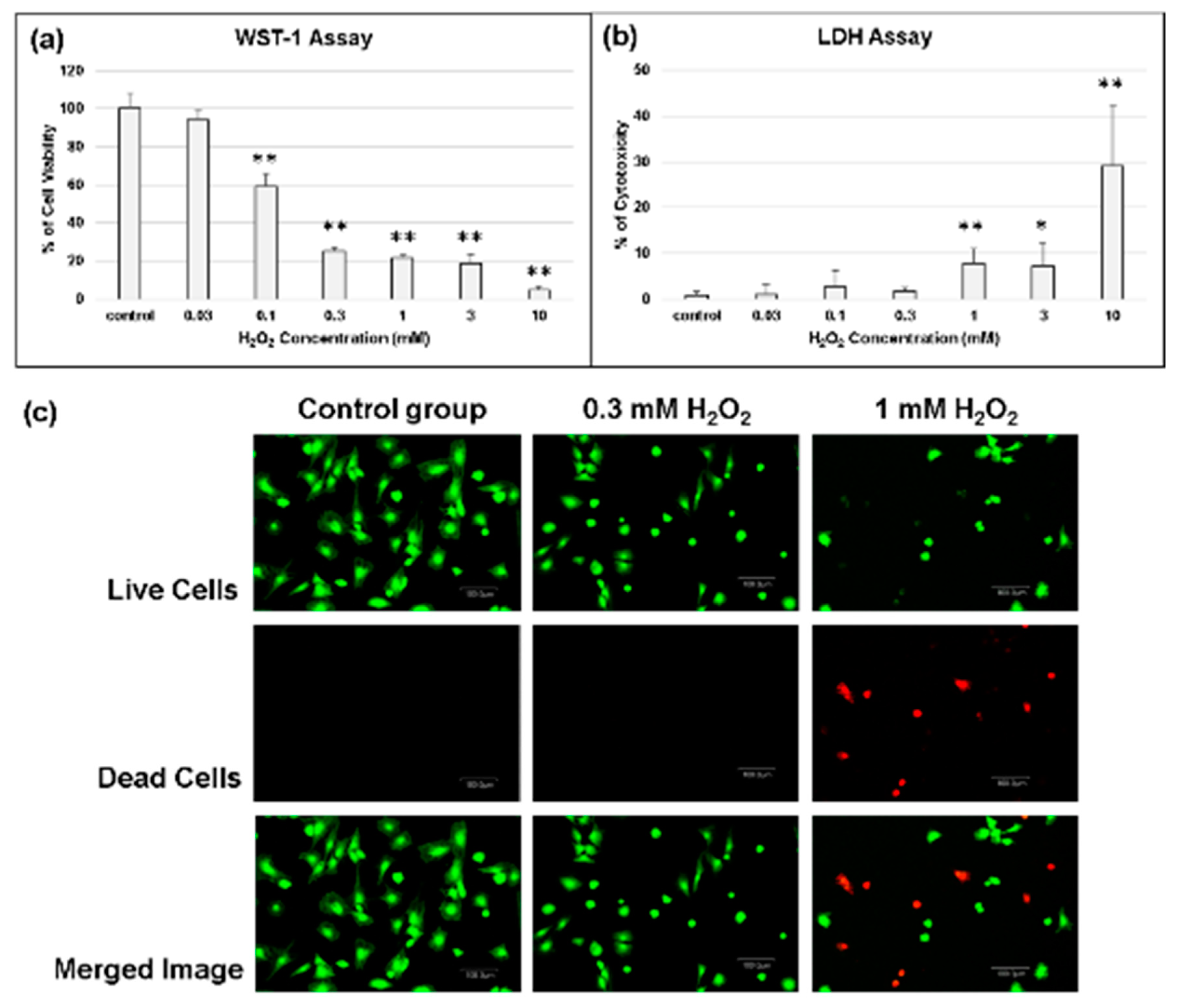 Molecules 25 04407 g003