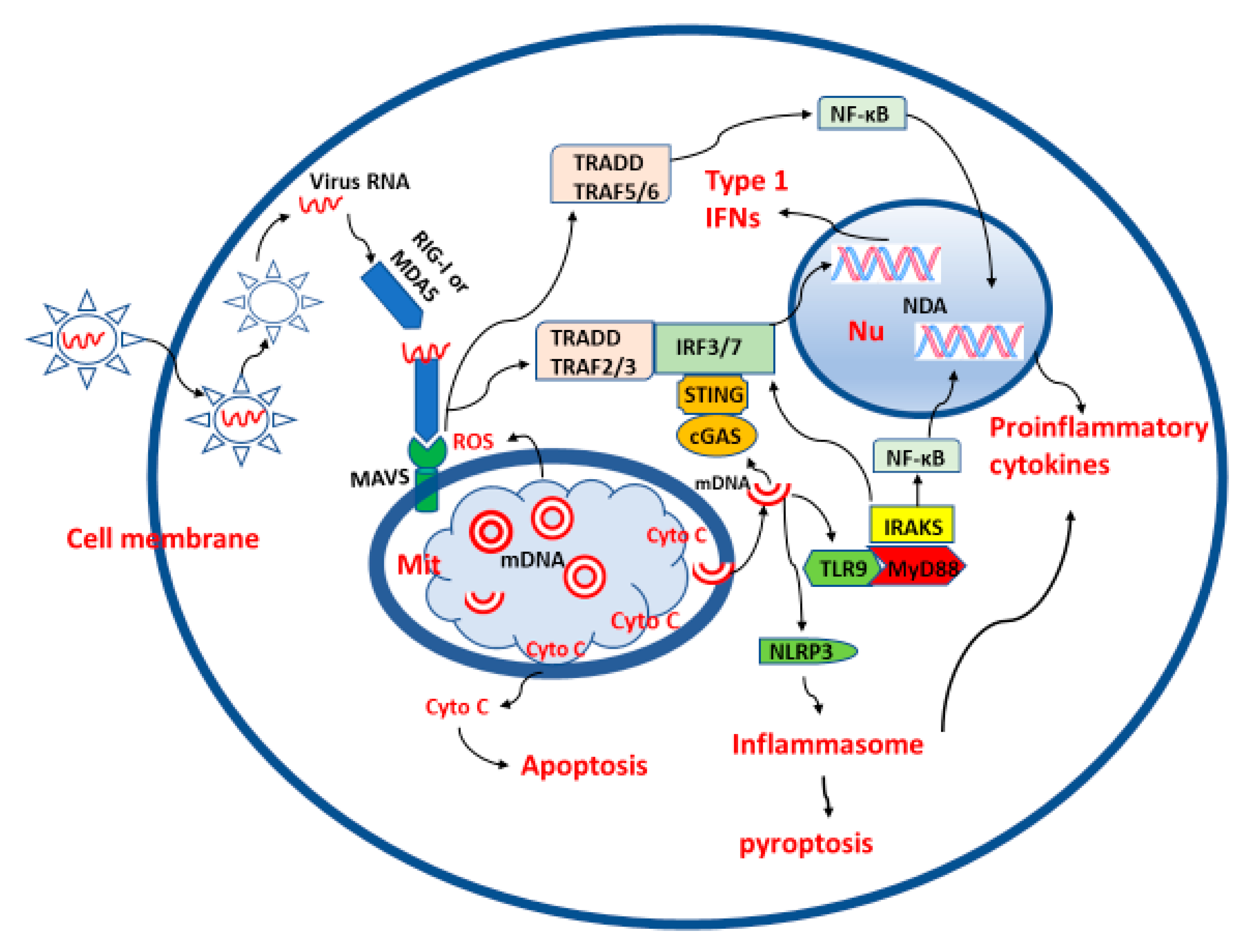 Molecules 25 04410 g001 Molecules 25 04410 g001