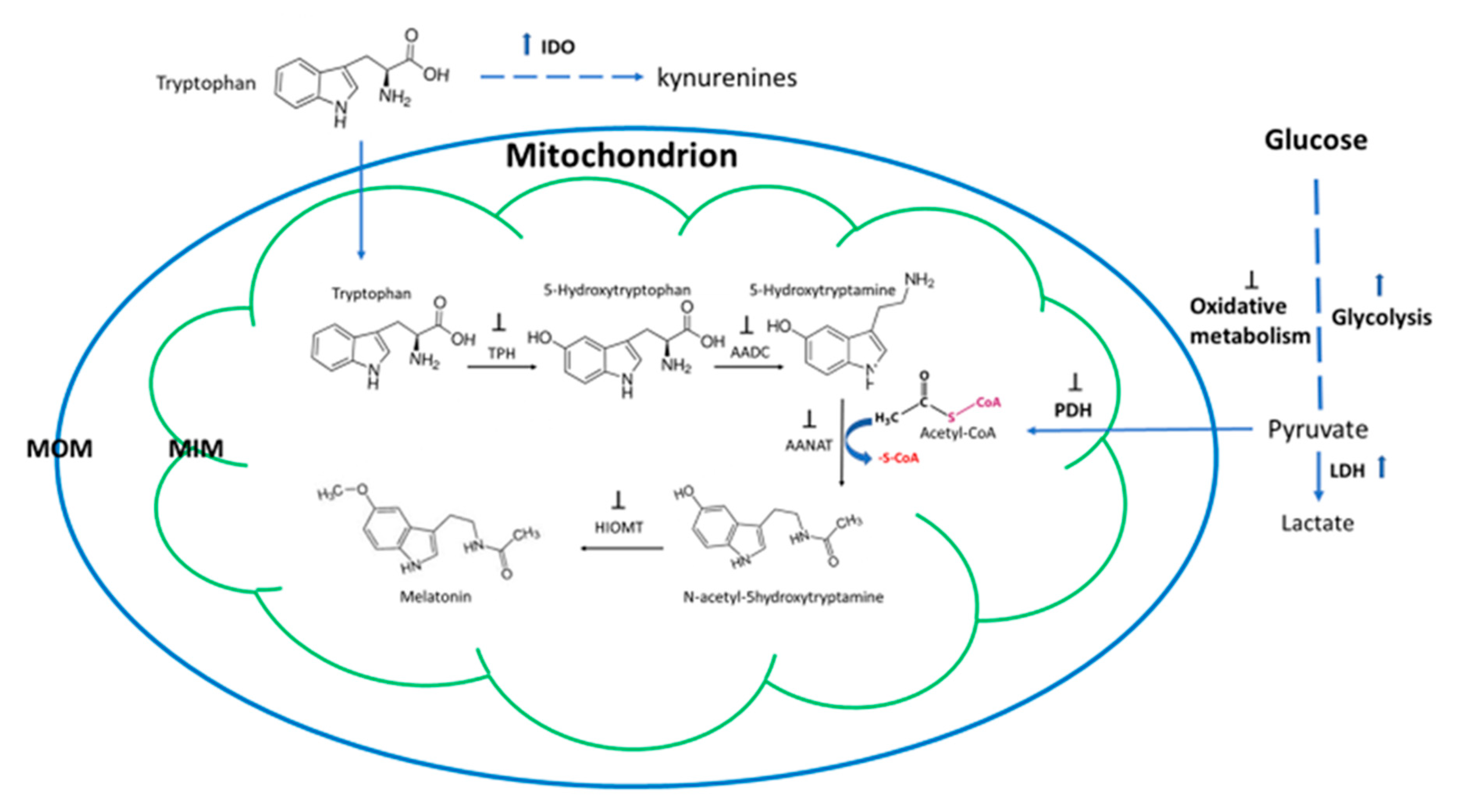 Molecules 25 04410 g003 Molecules 25 04410 g003
