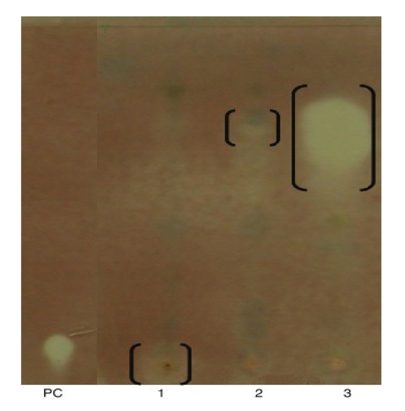 Molecules 25 04411 g004