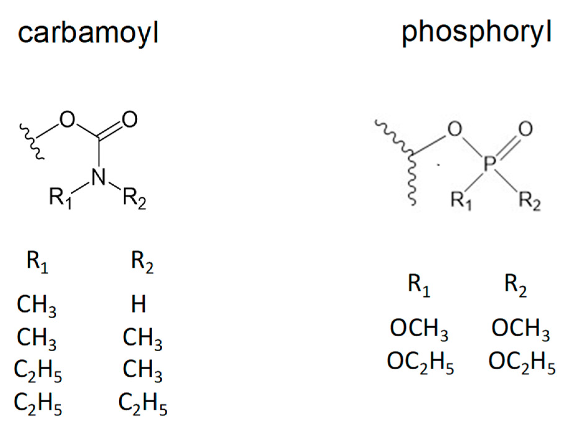 Molecules 25 04412 g001 Molecules 25 04412 g001