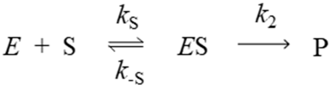Molecules 25 04412 sch003 Molecules 25 04412 sch003