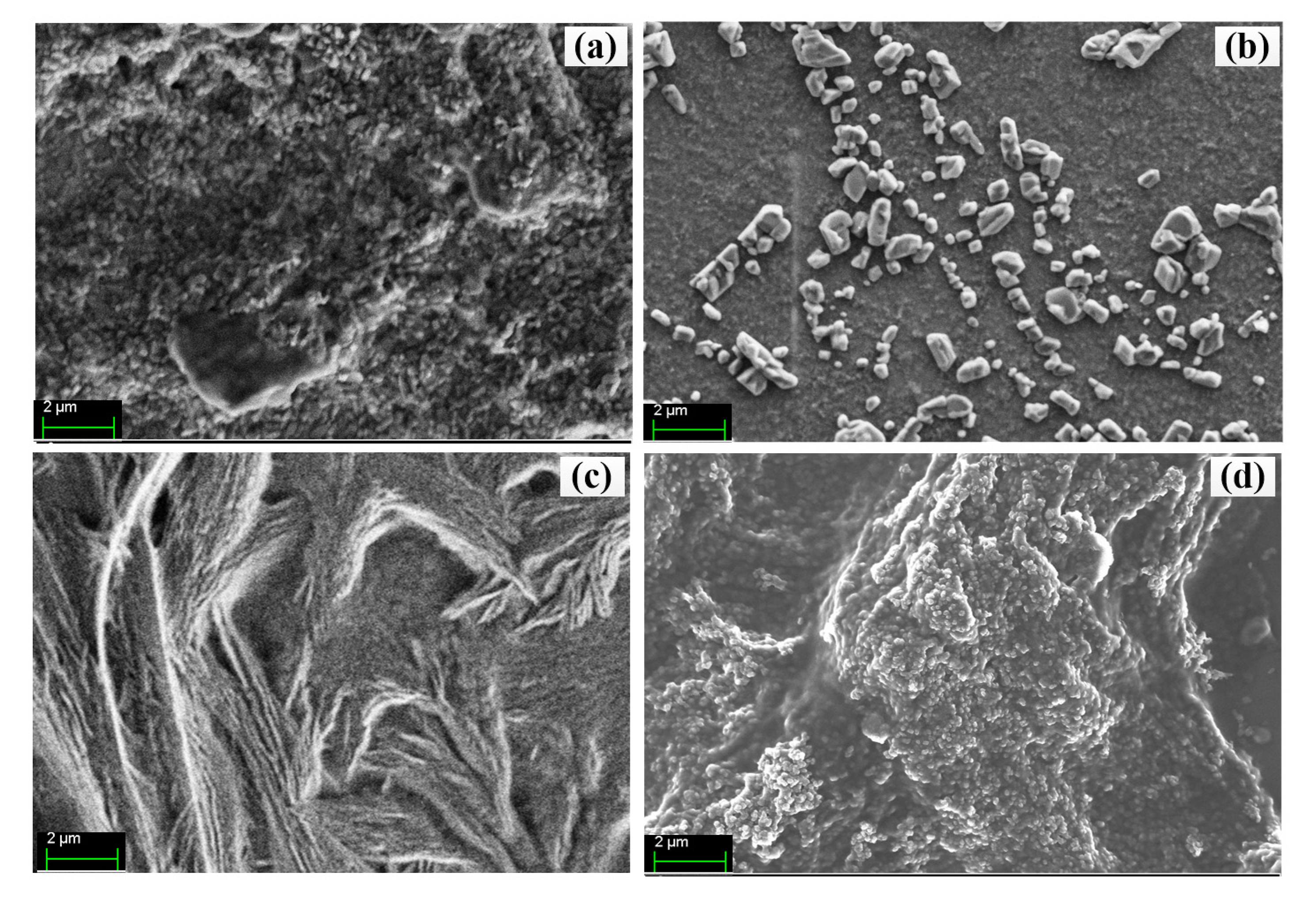 Molecules 25 04414 g002 Molecules 25 04414 g002