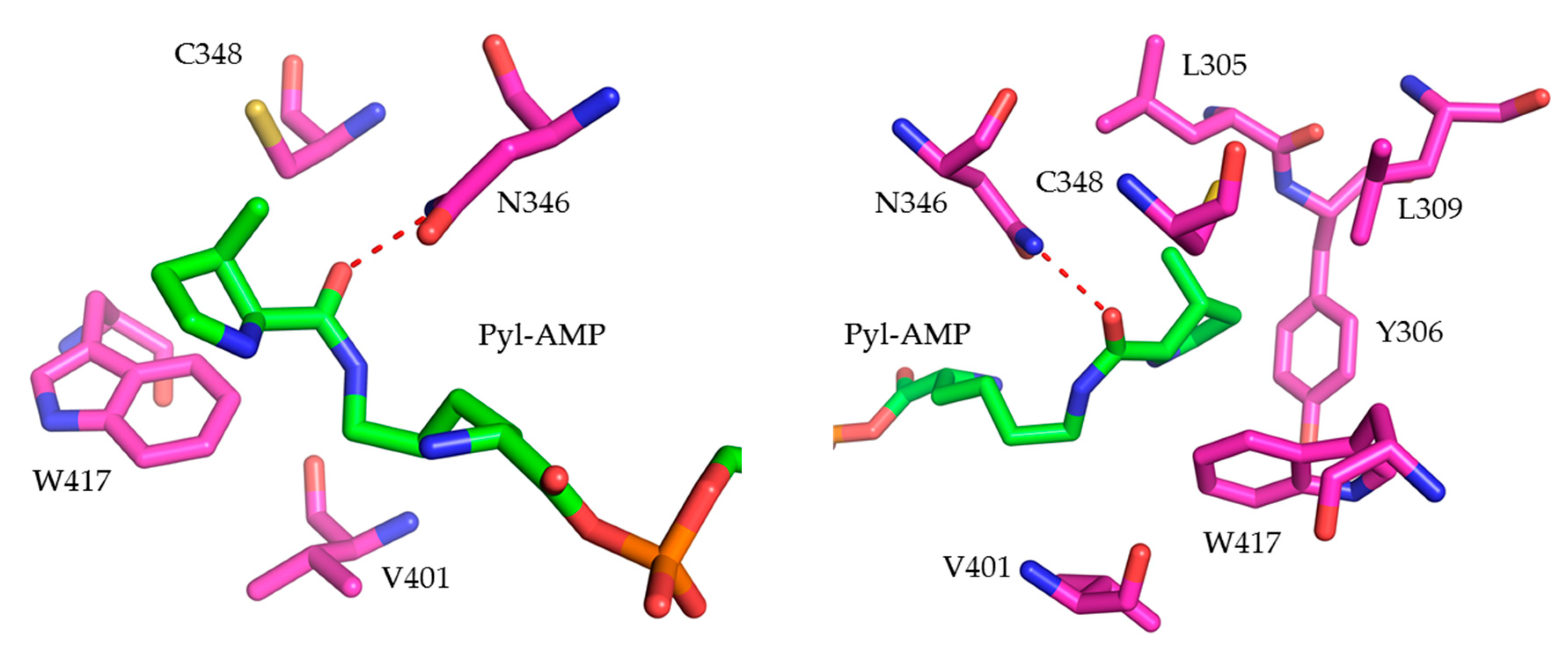 Molecules 25 04418 g002 Molecules 25 04418 g002