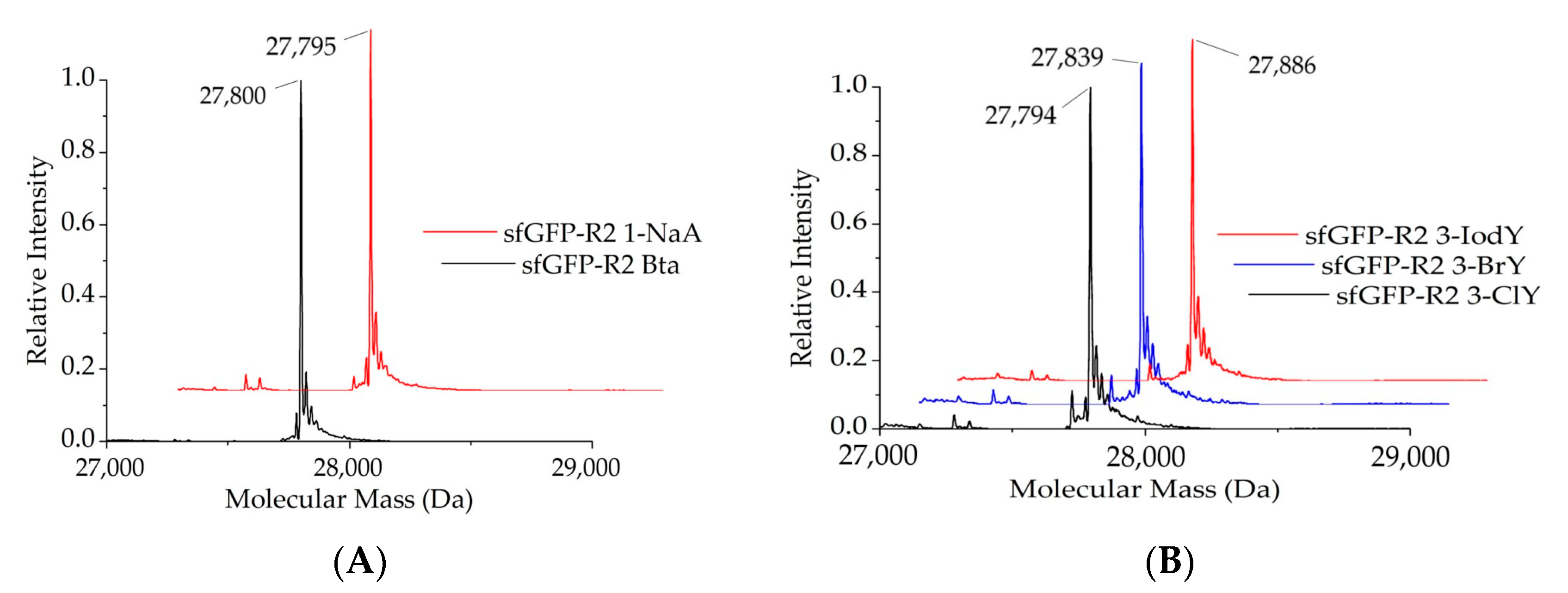 Molecules 25 04418 g004 Molecules 25 04418 g004