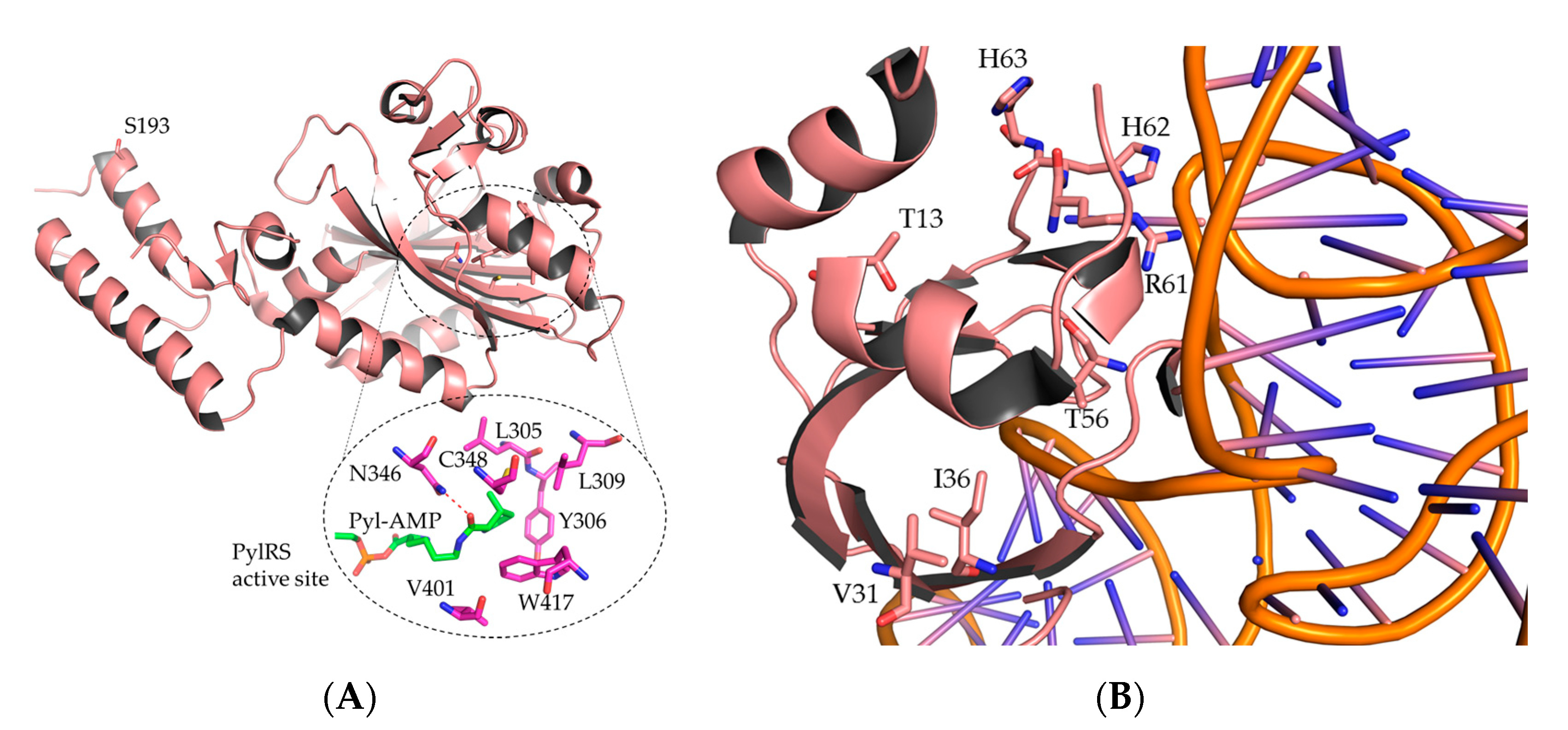 Molecules 25 04418 g0a1 Molecules 25 04418 g0a1
