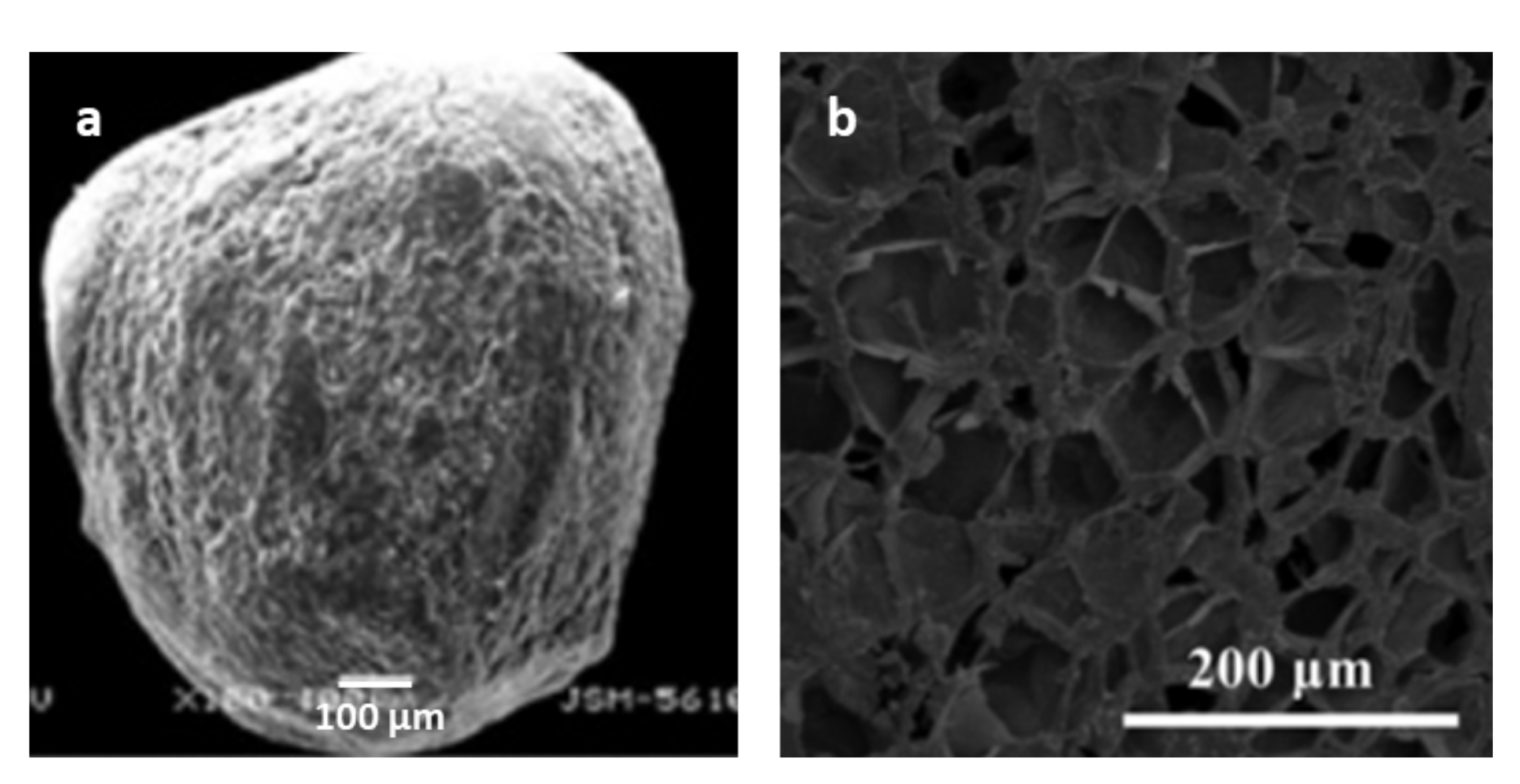Molecules 25 04420 g002