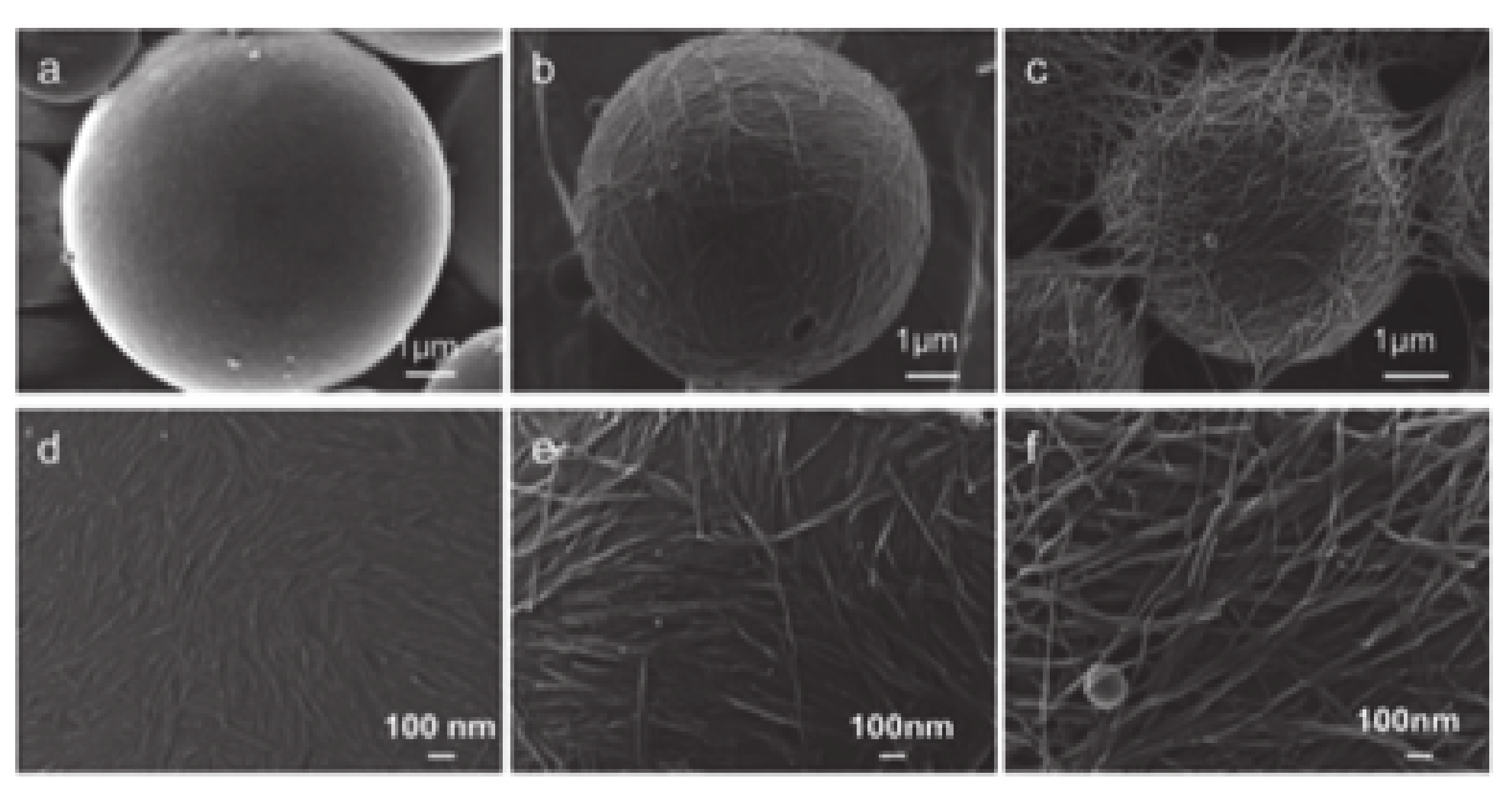 Molecules 25 04420 g005