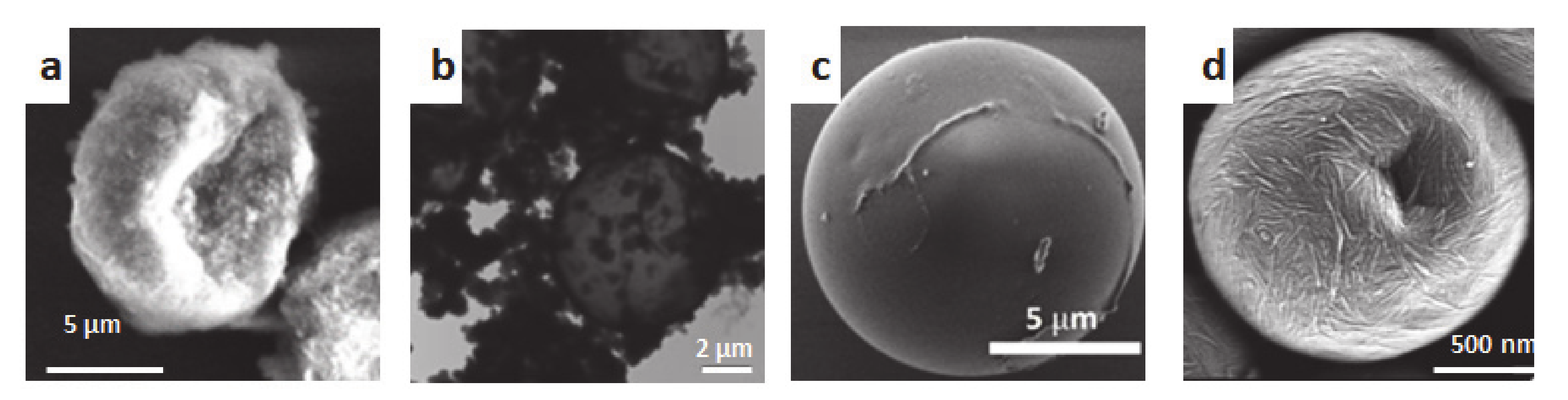 Molecules 25 04420 g006