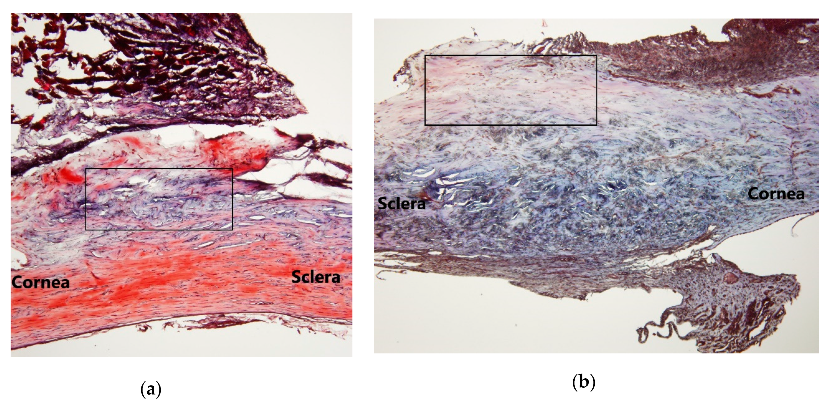 Molecules 25 04422 g002a