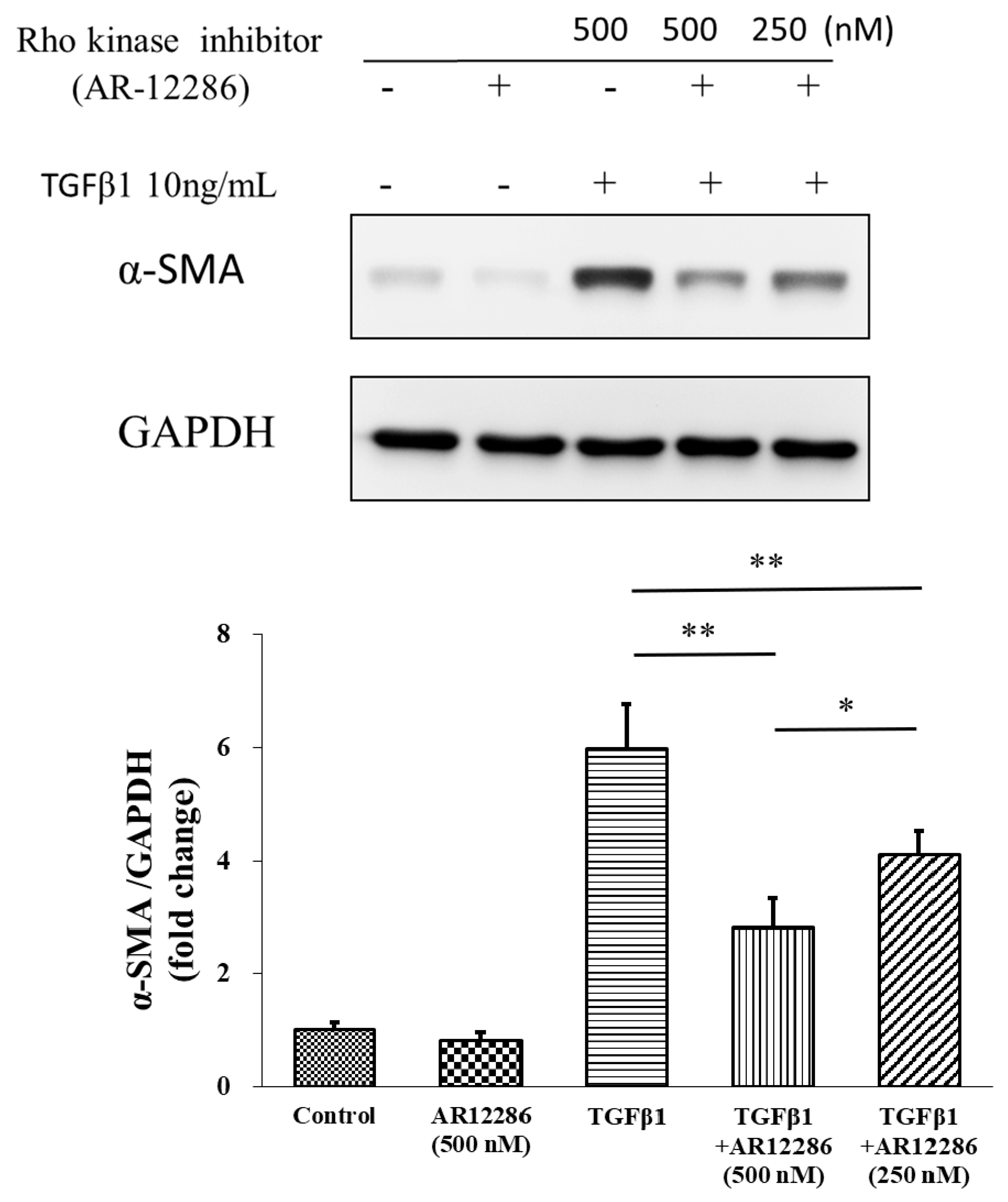 Molecules 25 04422 g005