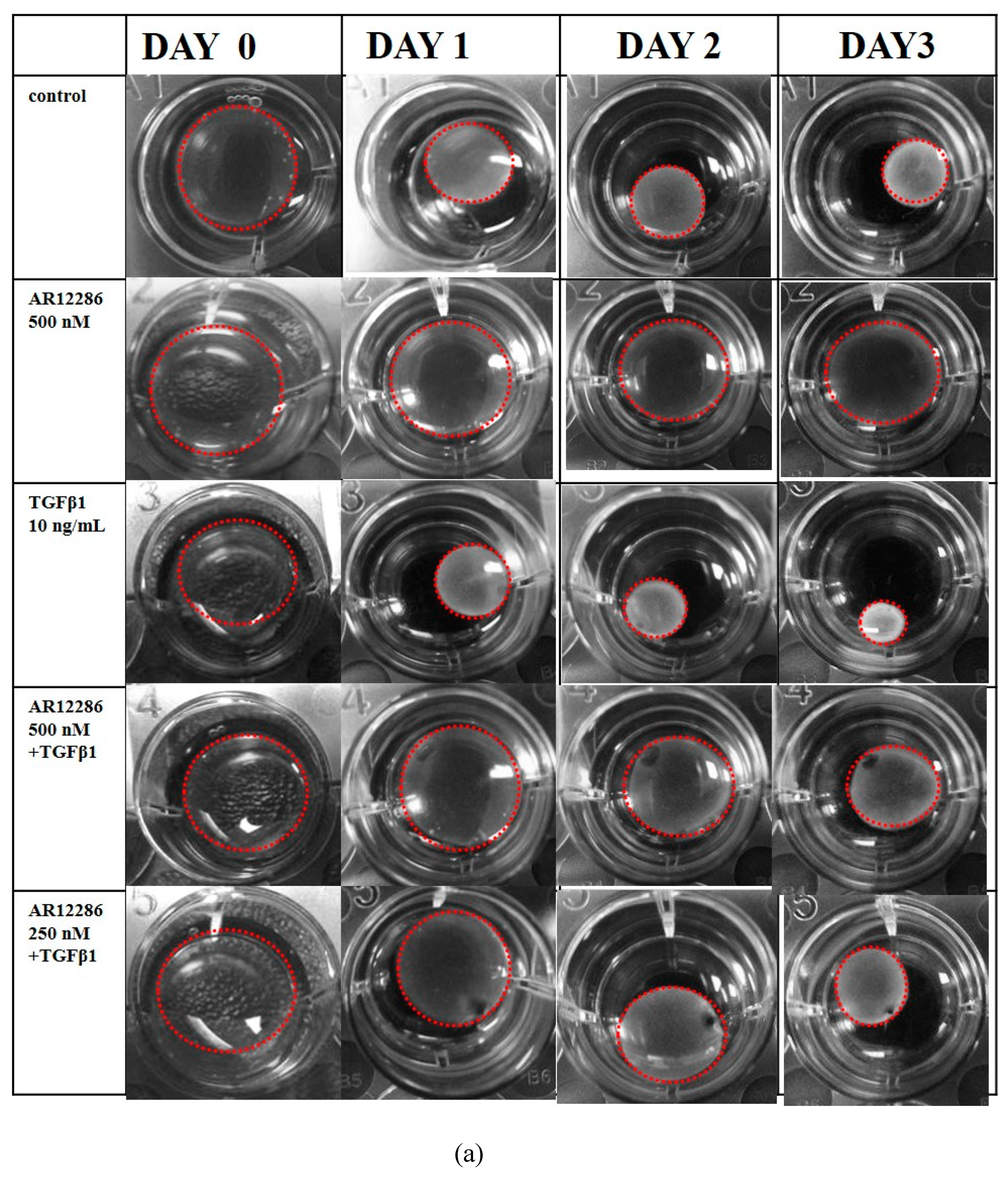 Molecules 25 04422 g006a