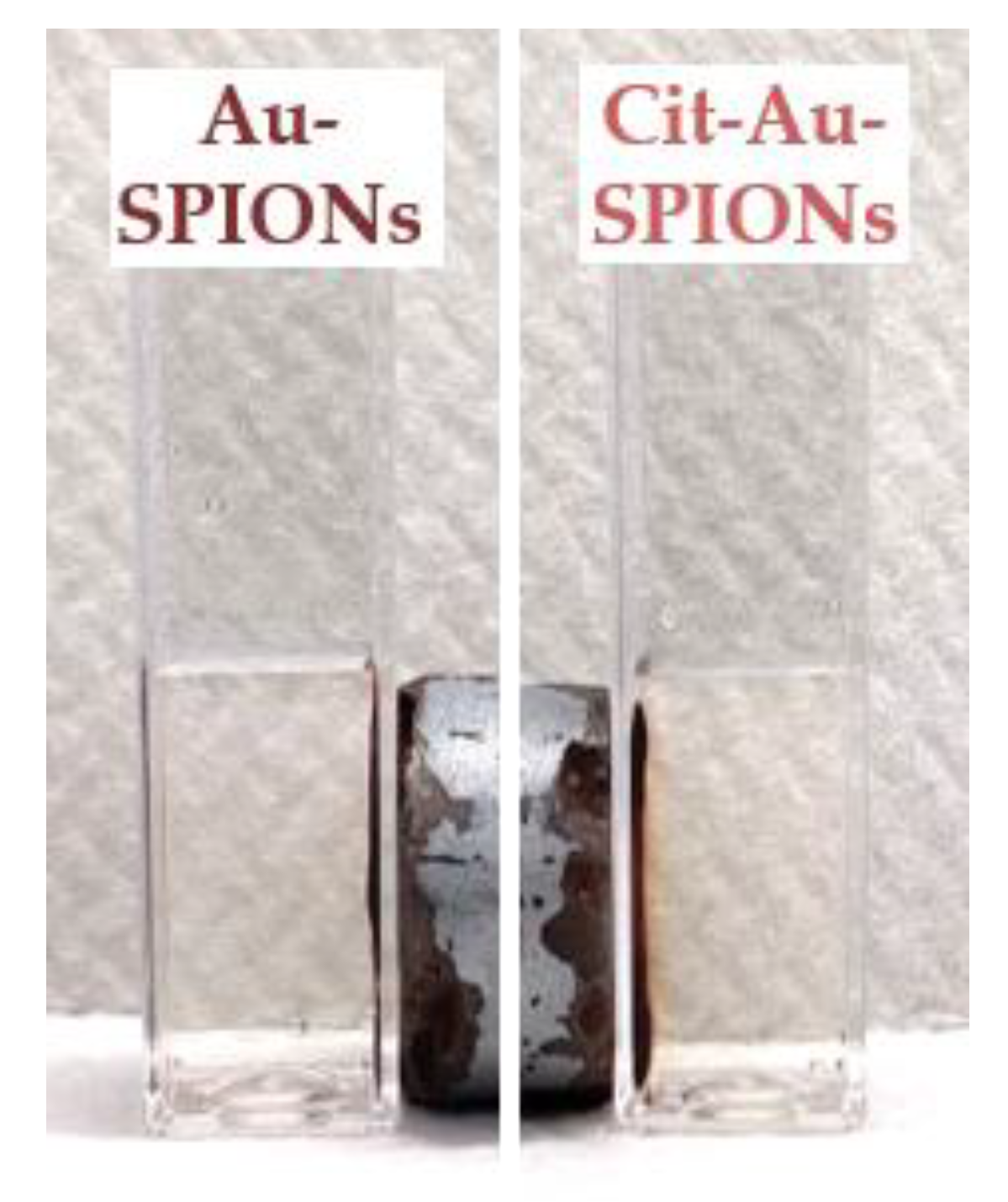 Molecules 25 04425 g0a3 Molecules 25 04425 g0a3