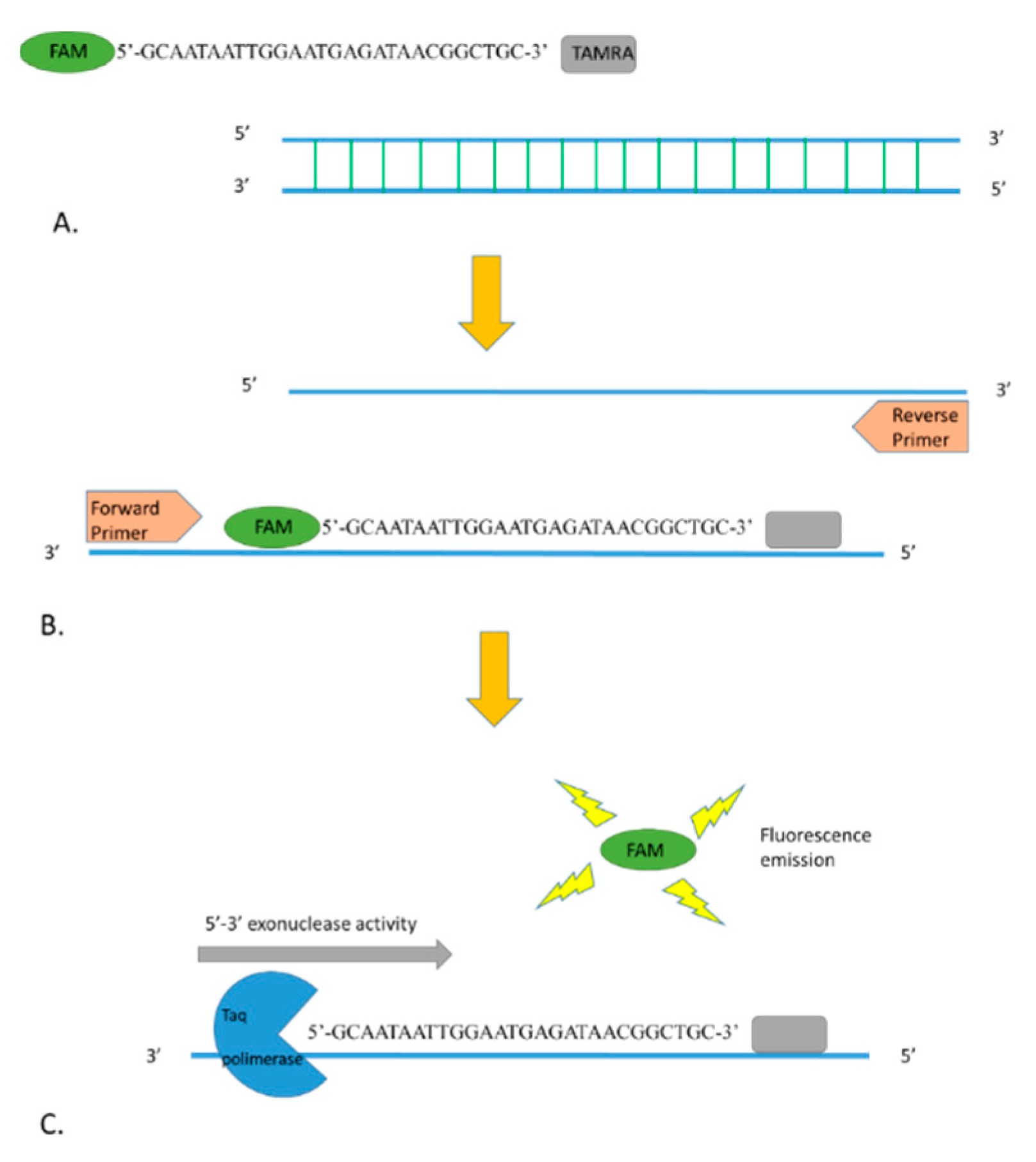 Molecules 25 04431 g004