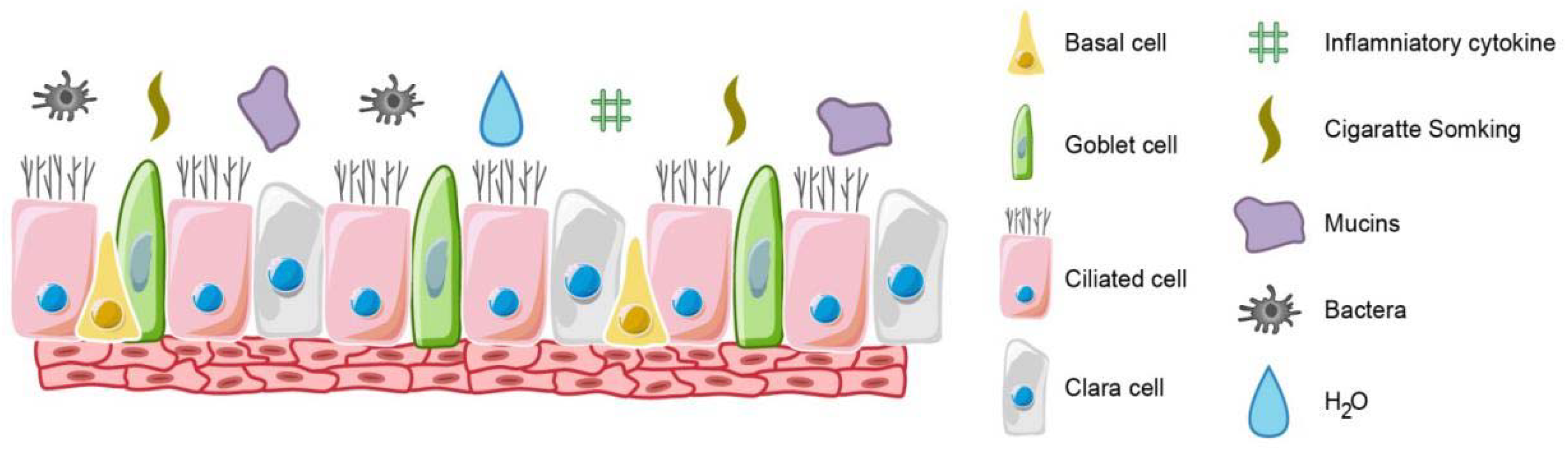 Molecules 25 04437 g001