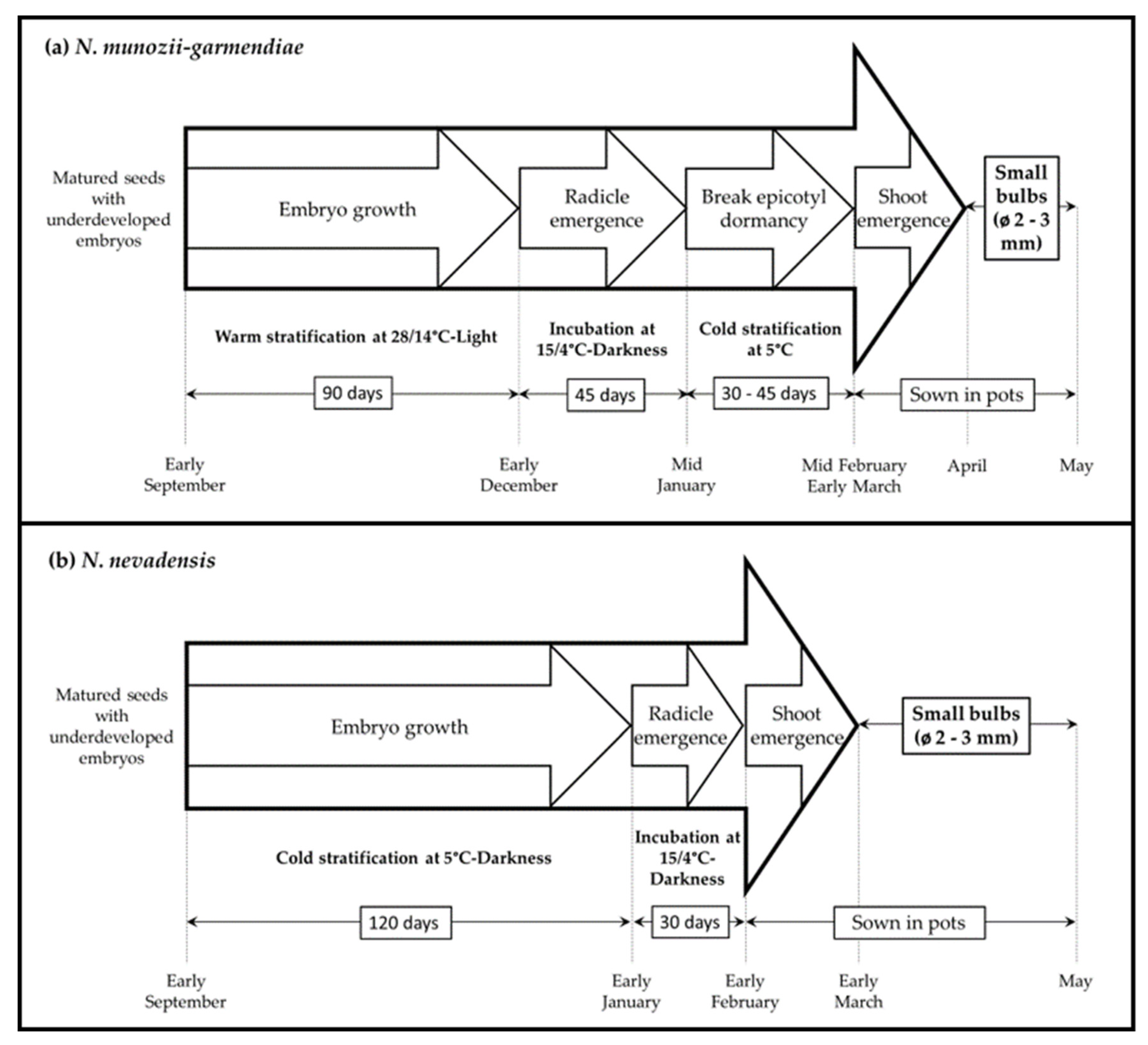 Molecules 25 04439 g007