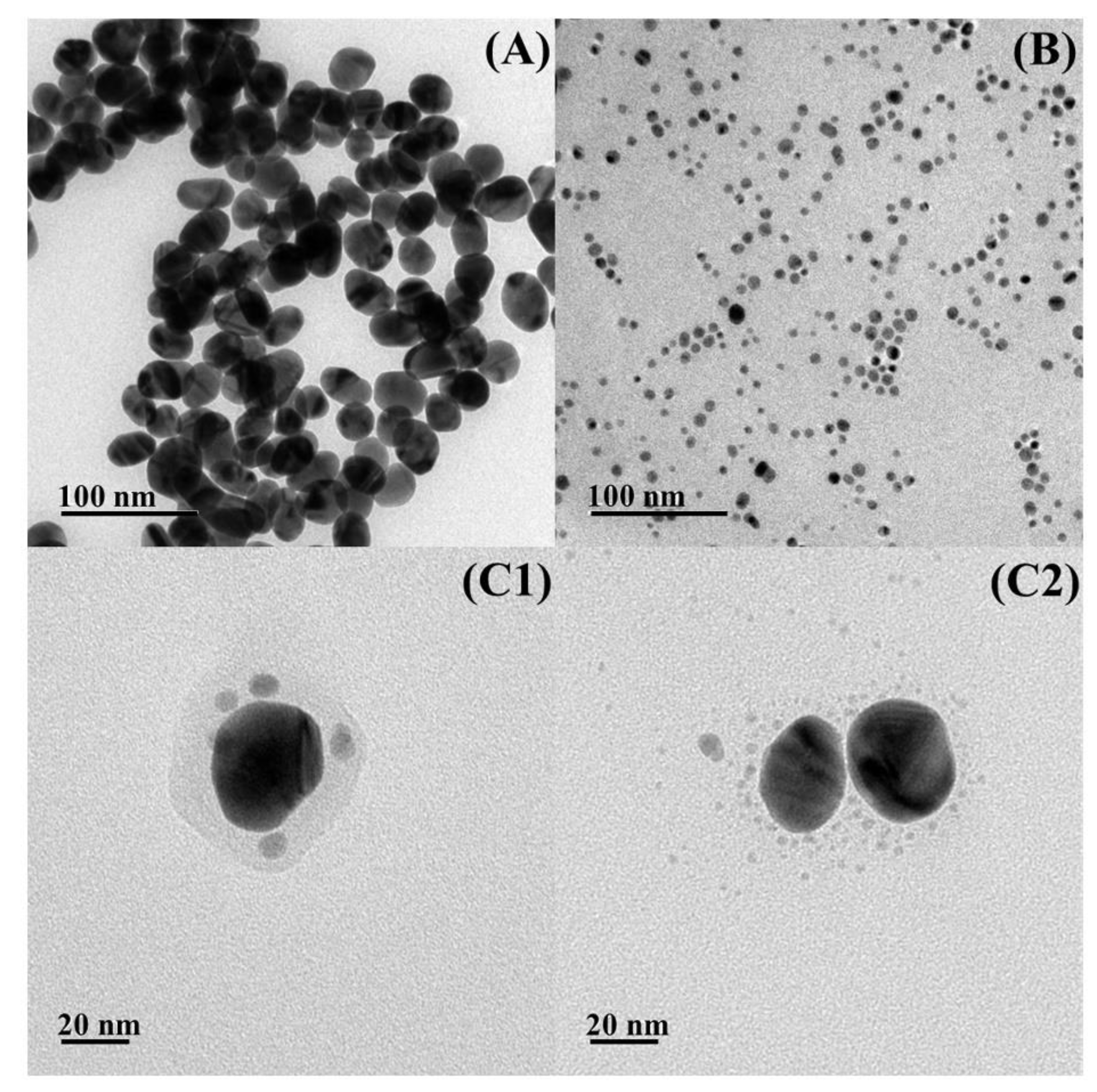 Molecules 25 04443 g003 Molecules 25 04443 g003