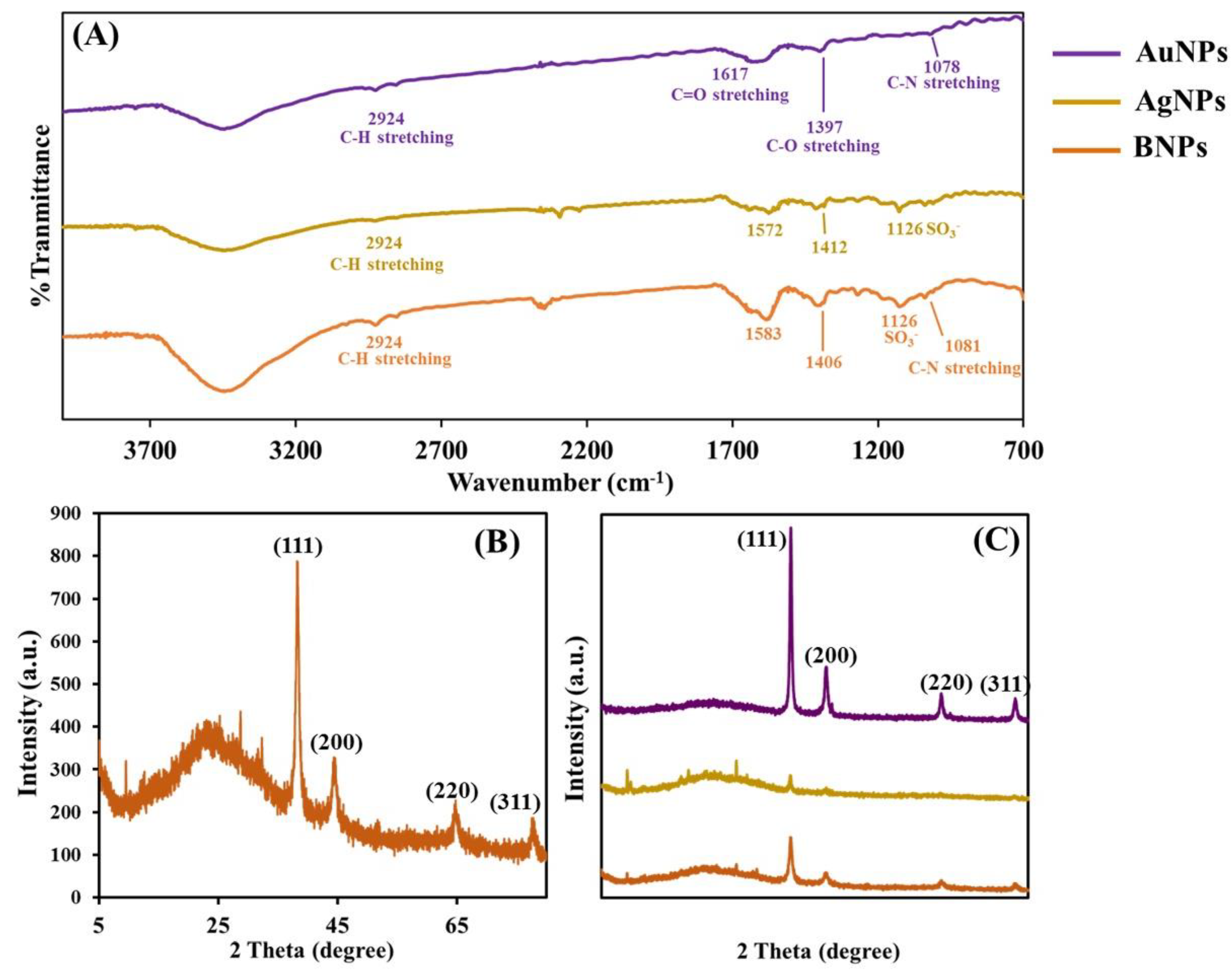 Molecules 25 04443 g004 Molecules 25 04443 g004