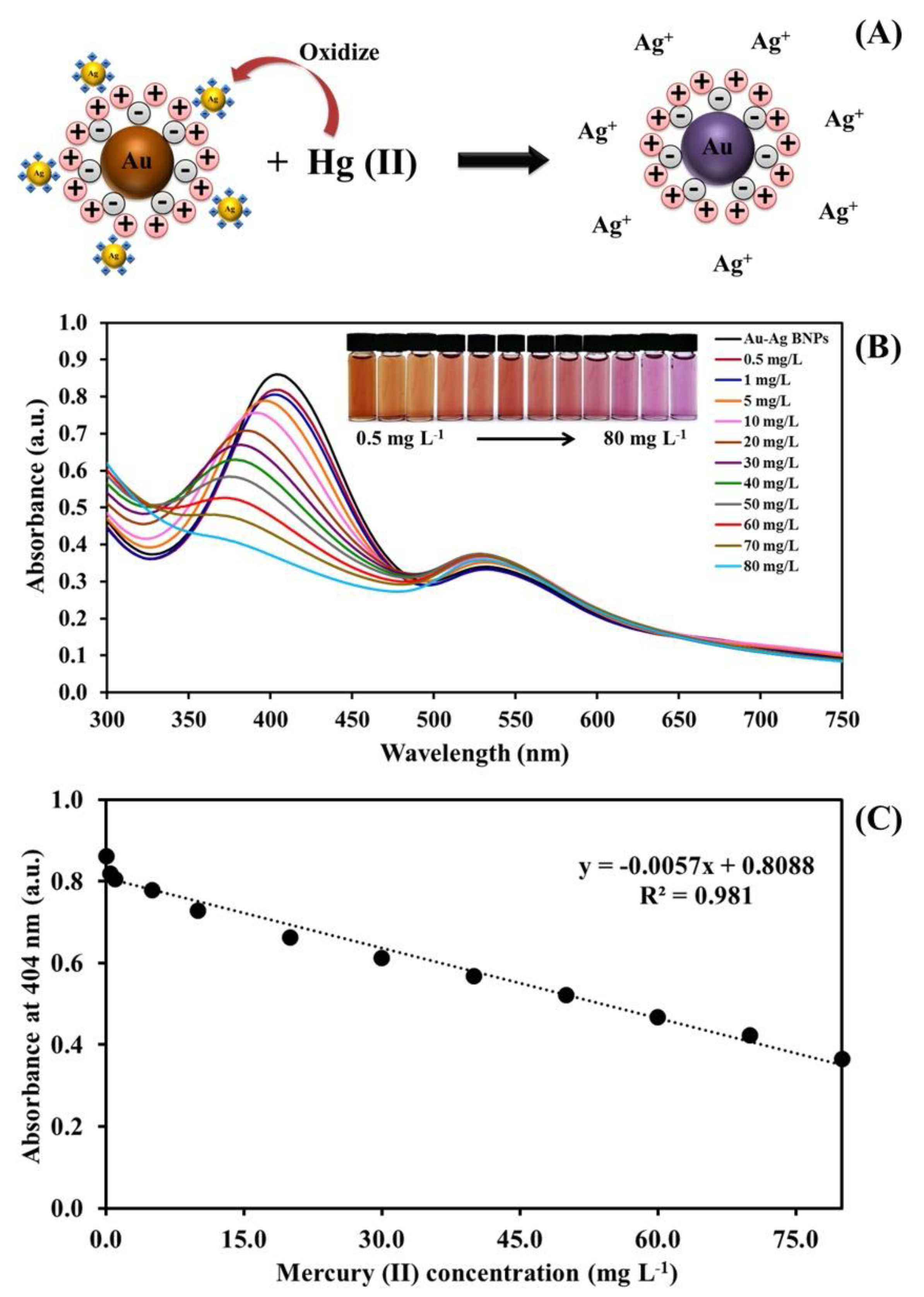 Molecules 25 04443 g005 Molecules 25 04443 g005