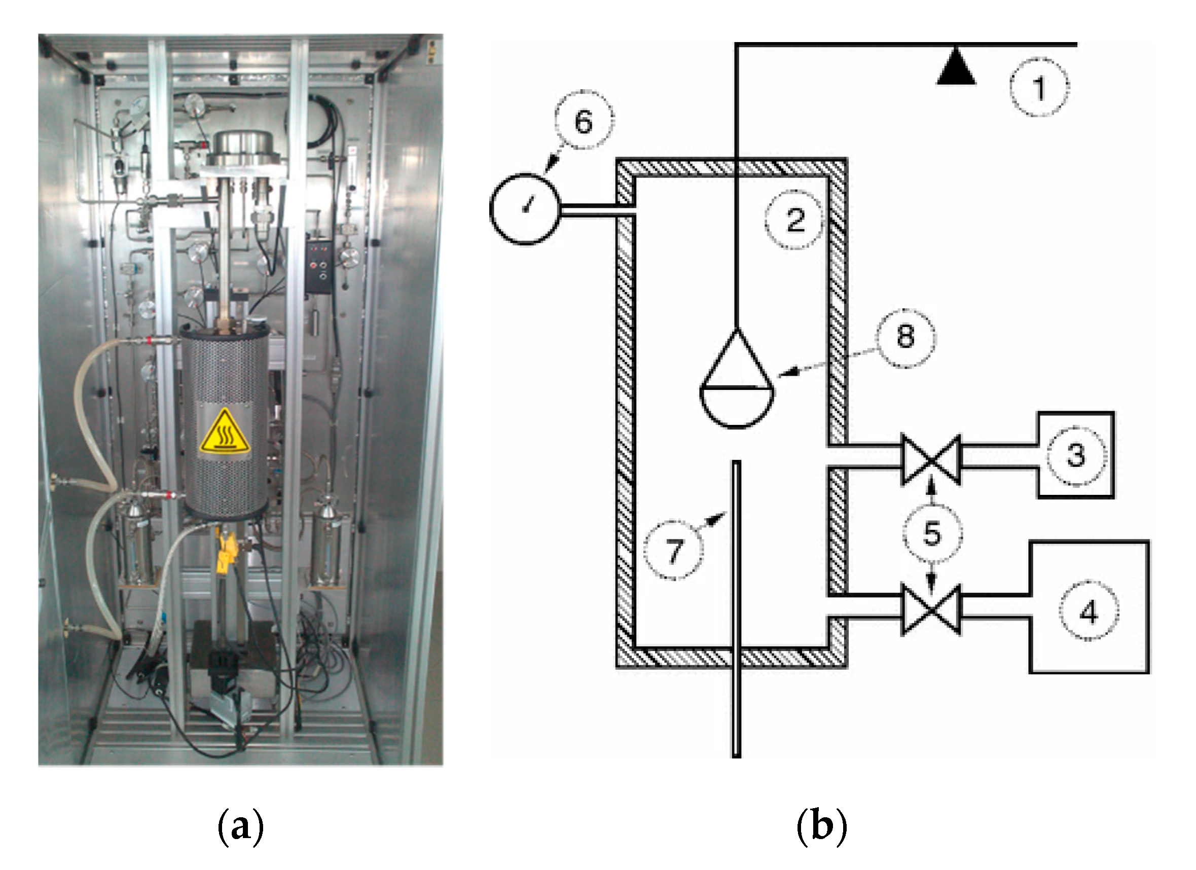 Molecules 25 04445 g008