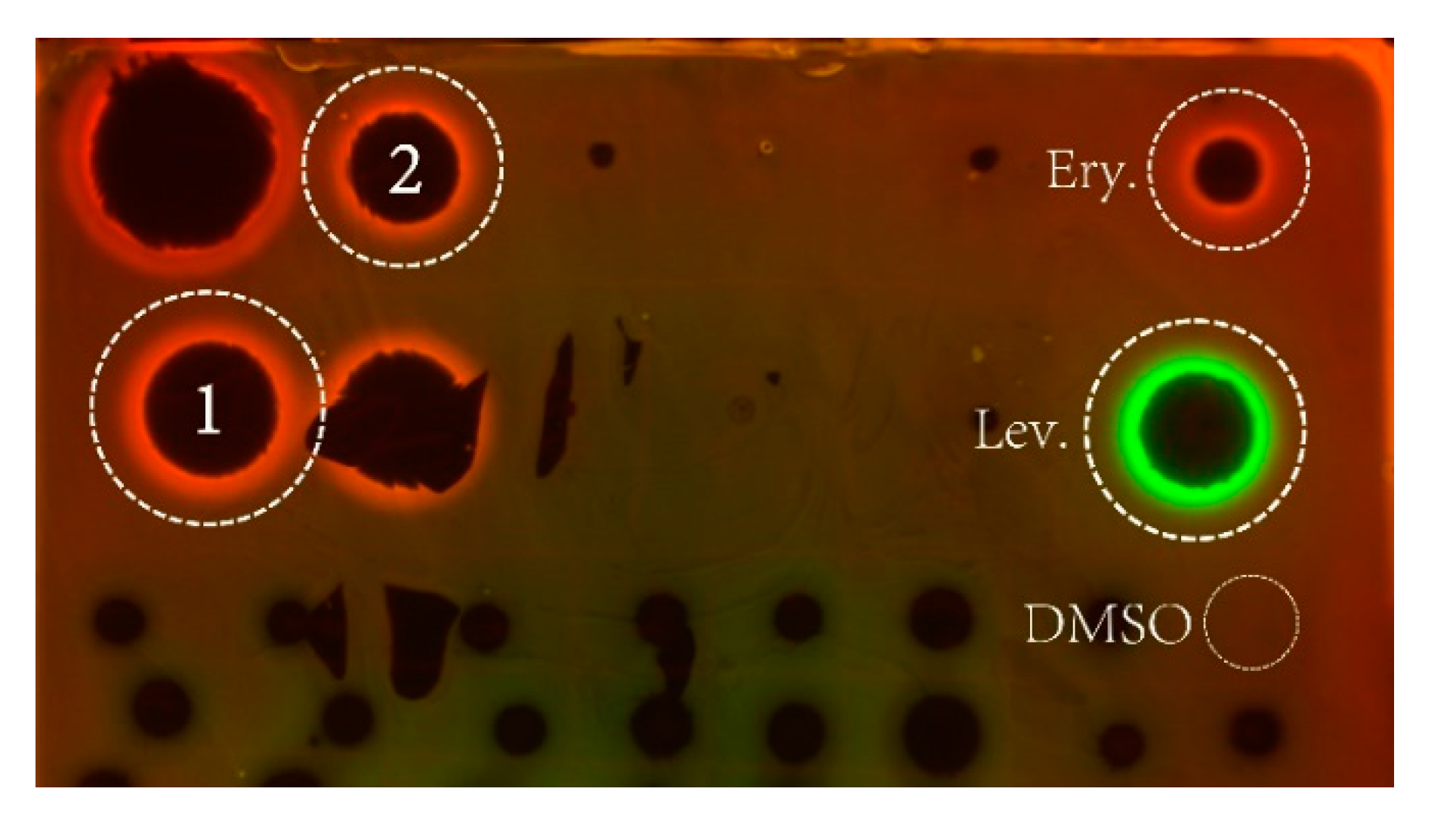Molecules 25 04446 g006 Molecules 25 04446 g006