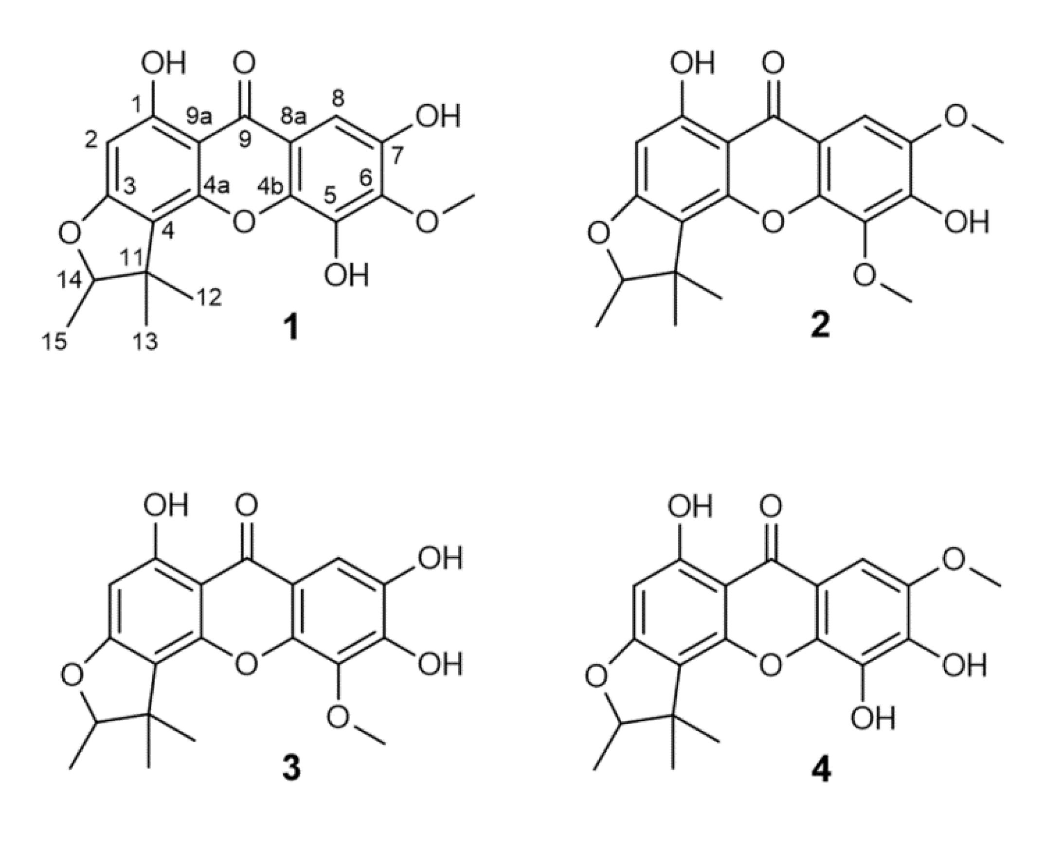 Molecules 25 04449 g001