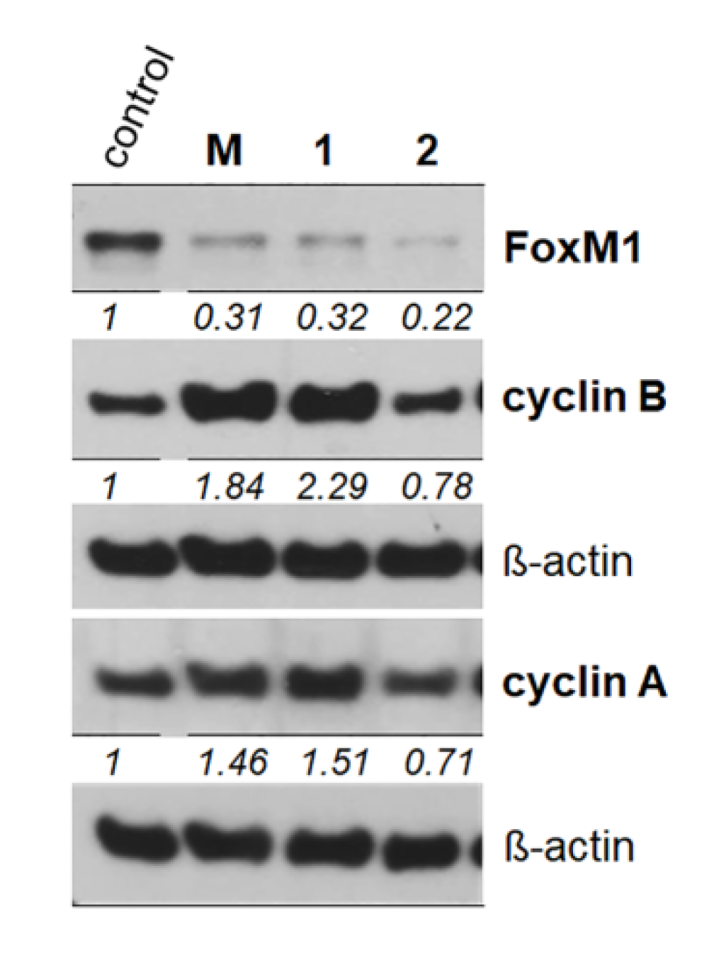 Molecules 25 04449 g003