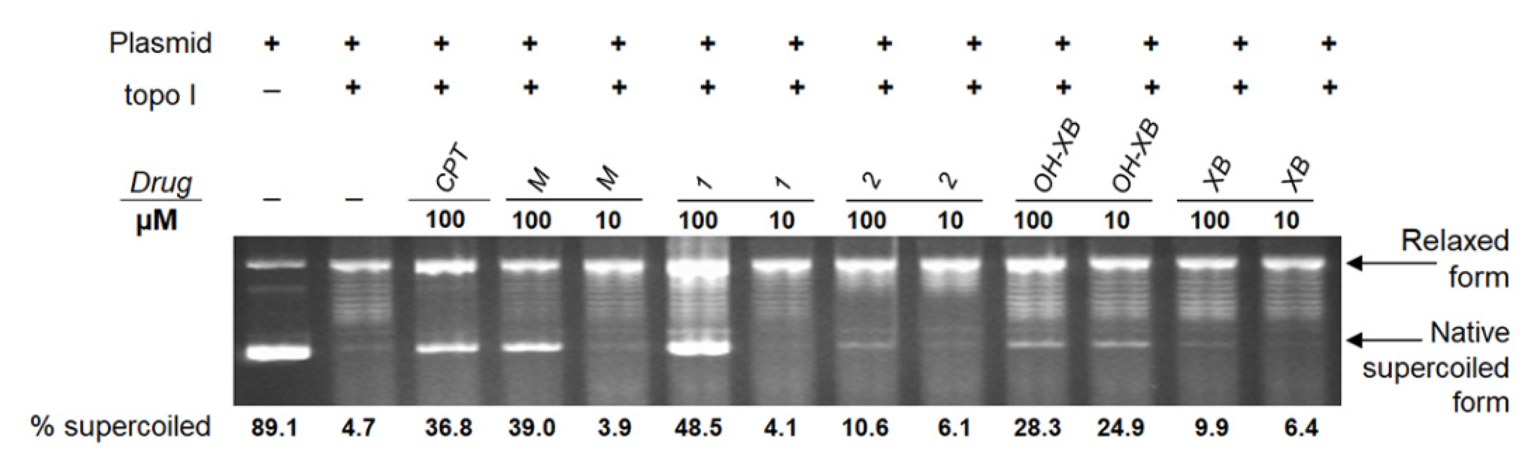 Molecules 25 04449 g004