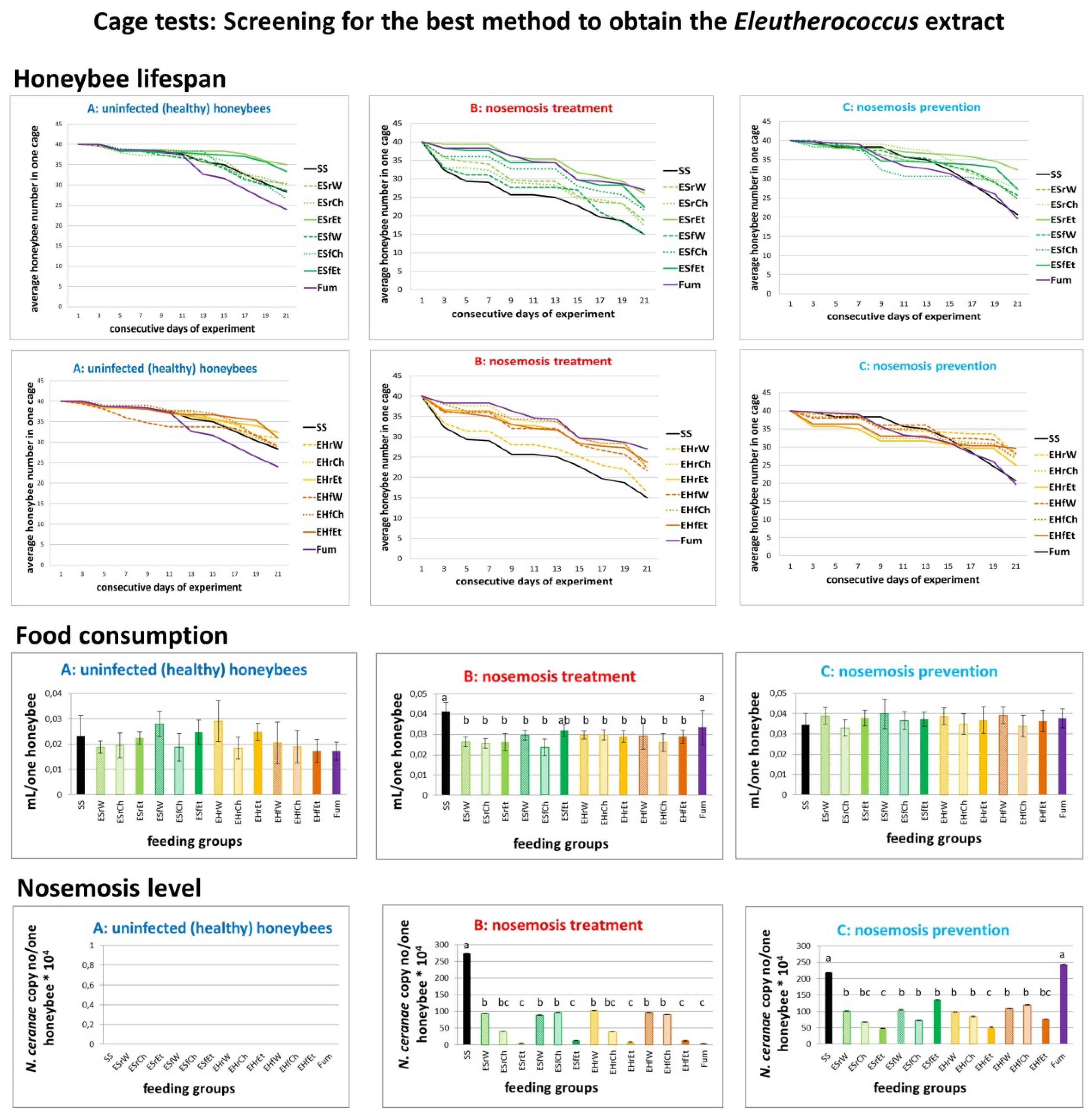 Molecules 25 04452 g002 Molecules 25 04452 g002