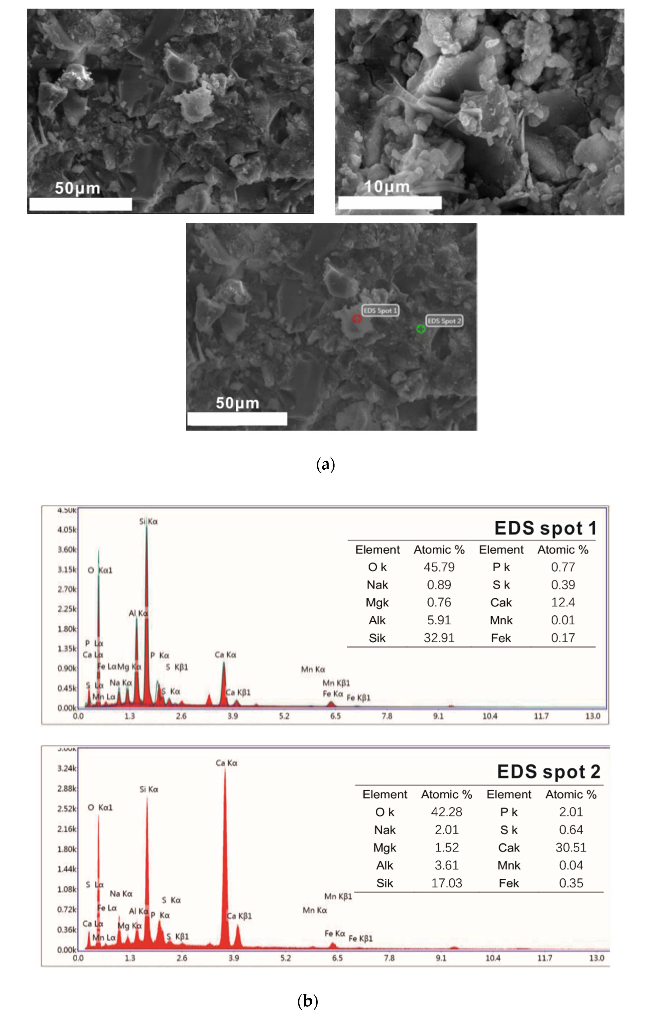 Molecules 25 04456 g010