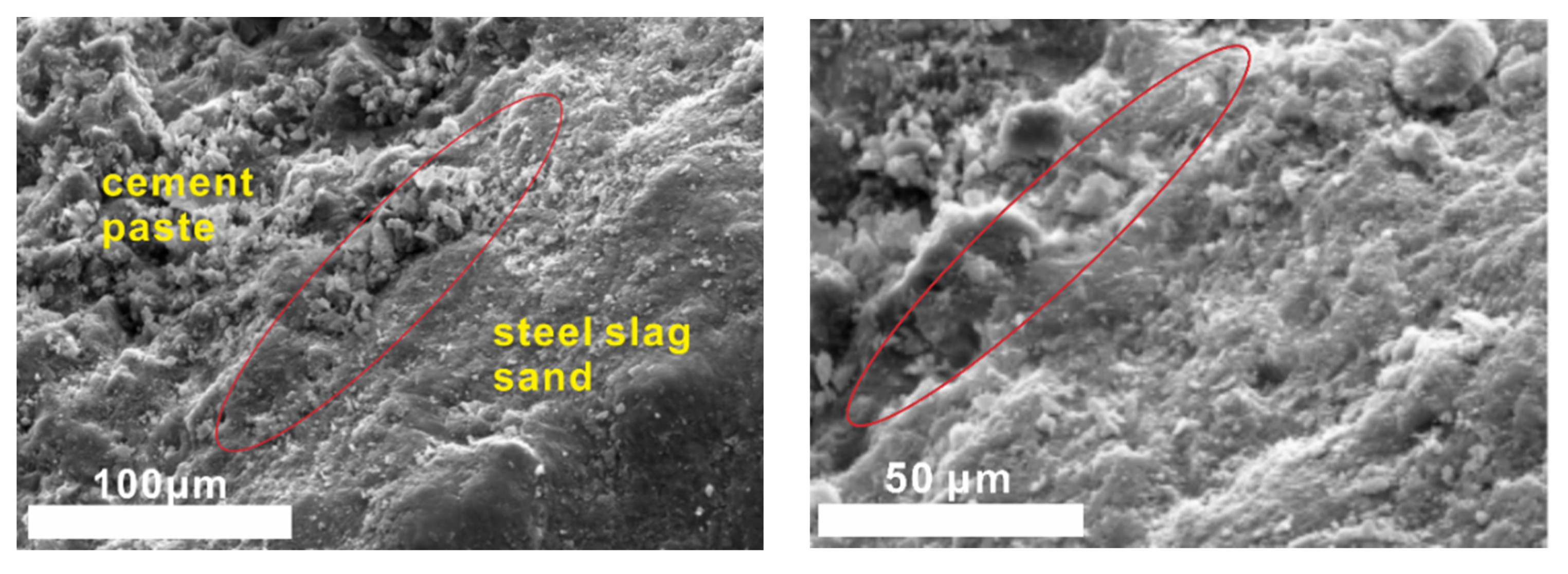 Molecules 25 04456 g012