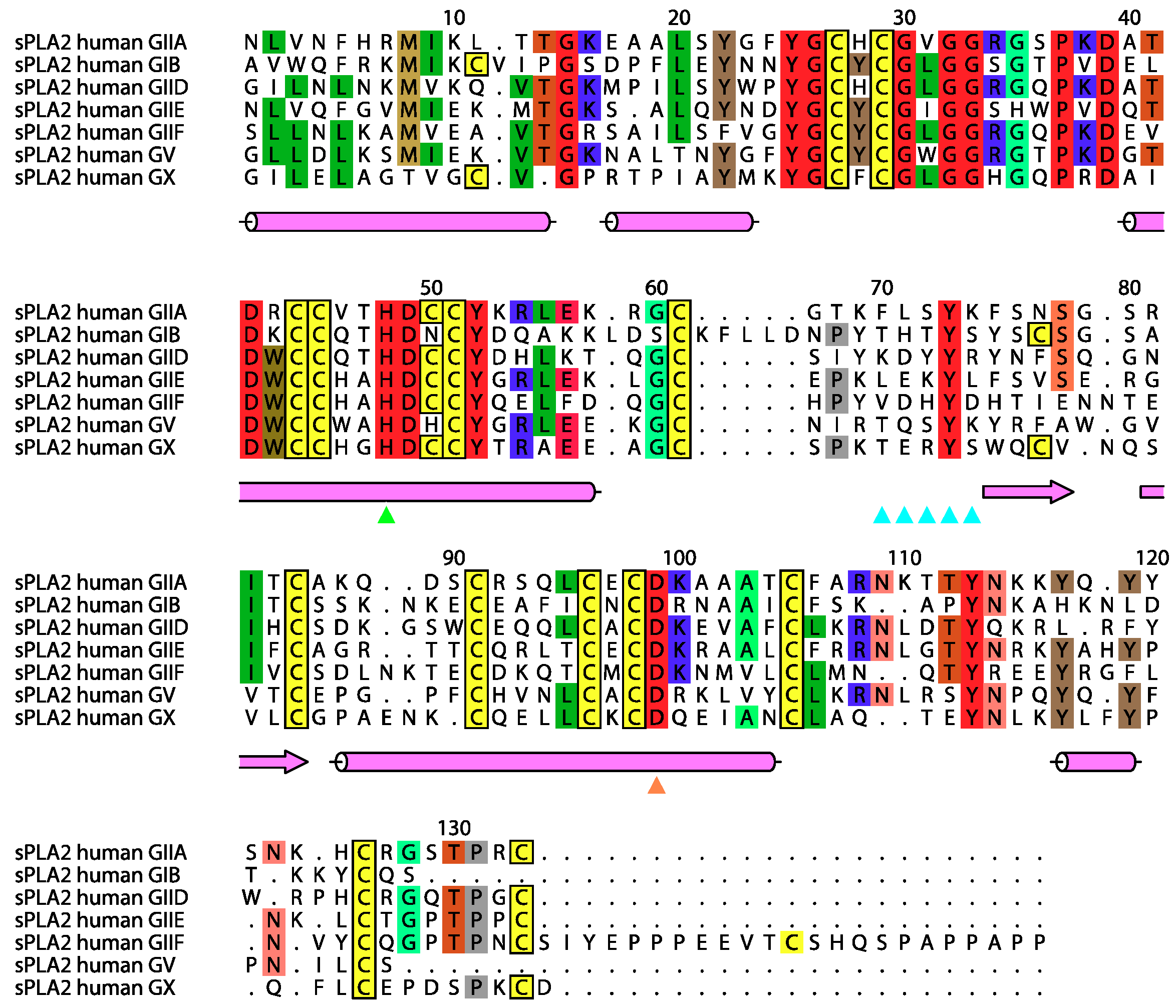 Molecules 25 04459 g001
