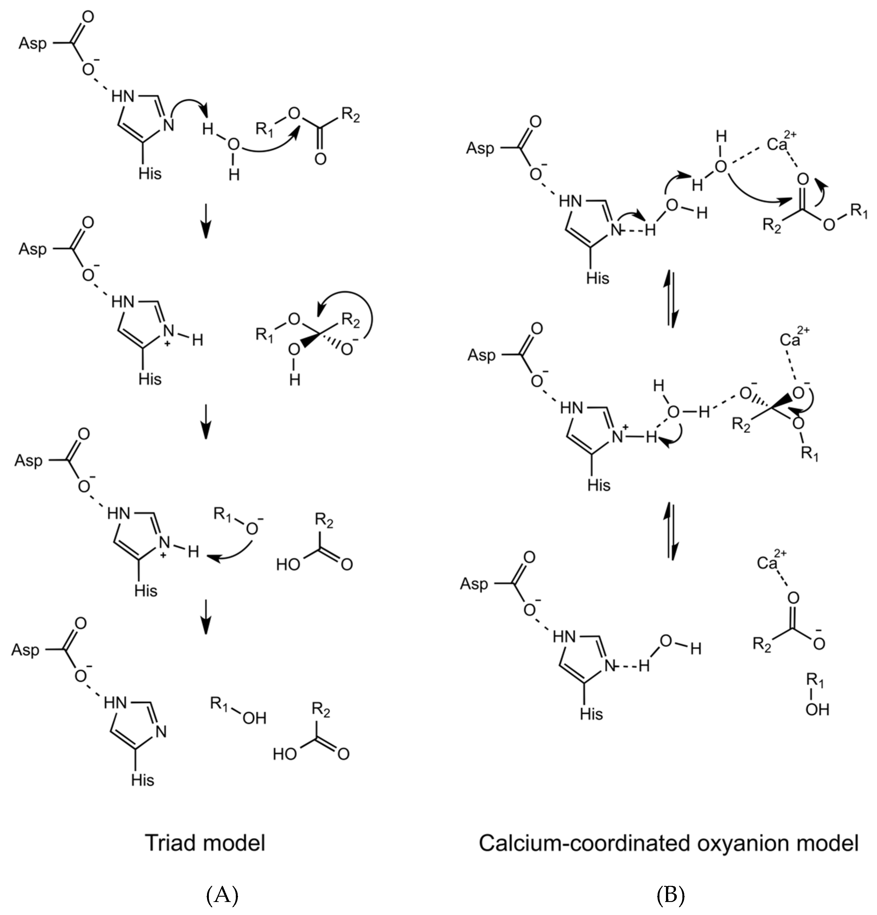 Molecules 25 04459 g003