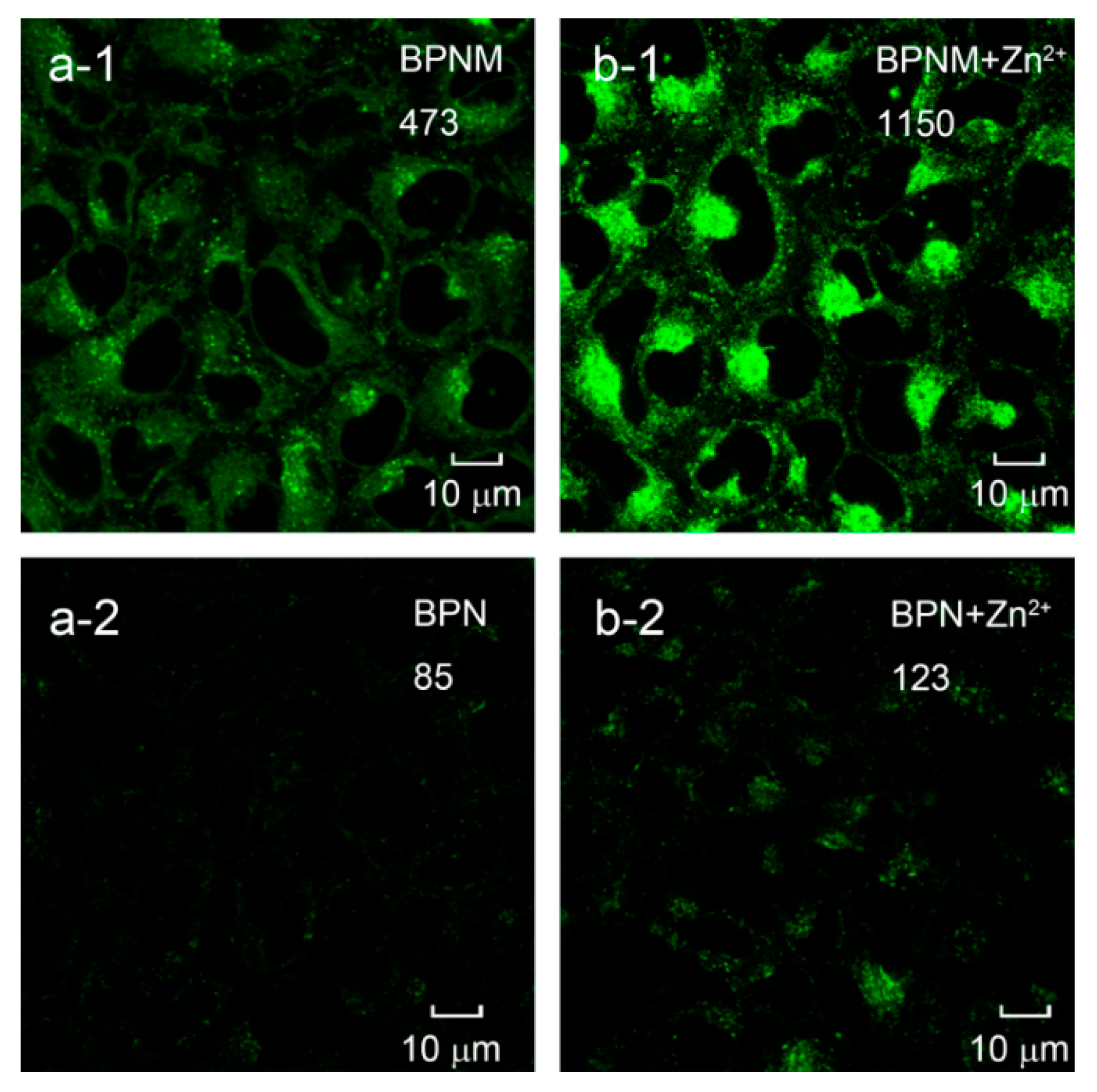 Molecules 25 04465 g005 Molecules 25 04465 g005